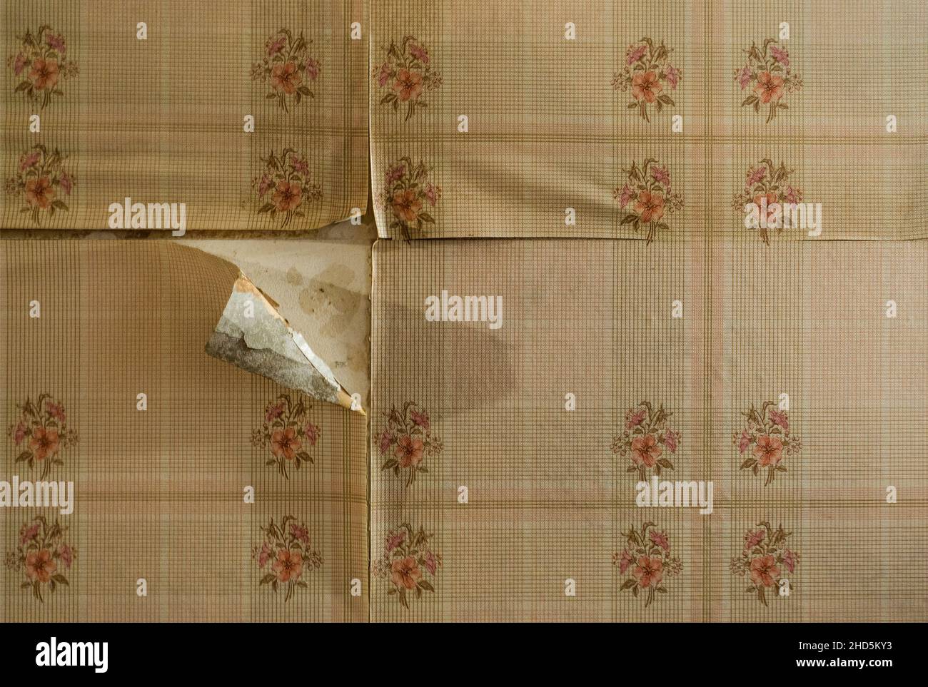 peeling and stained wallpaper Stock Photo