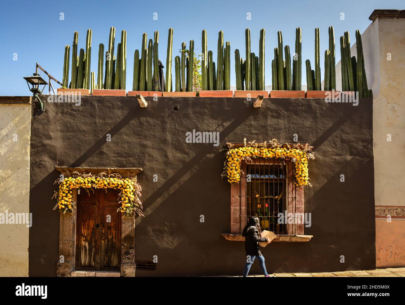 Woman walks by charming building adorned with yellow flower garlands around the doorway entrance and the window with a rooftop garden of potted Mexica Stock Photo