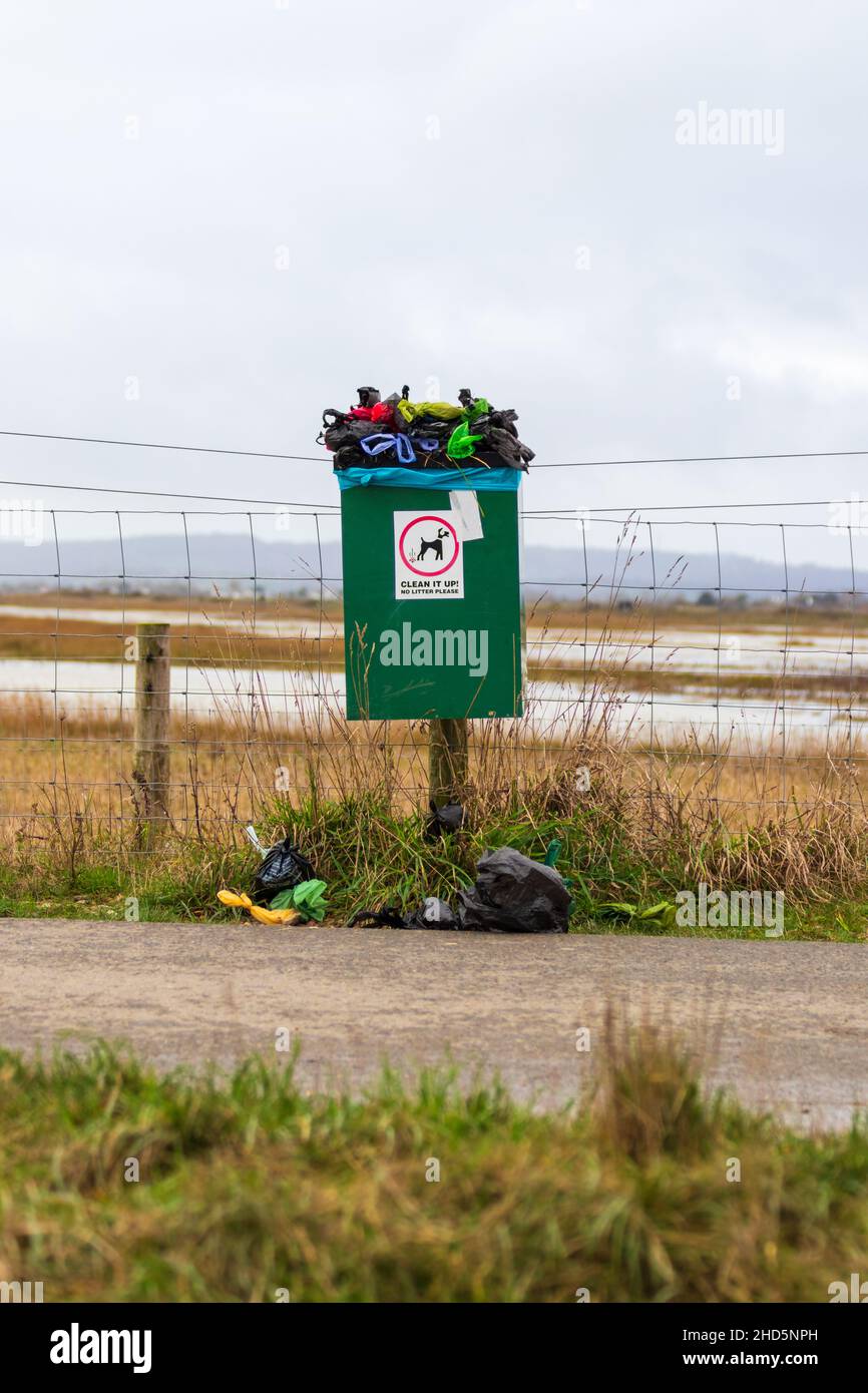 Overflowing dog poo bin, dog mess bin, nature reserve path, rye, uk