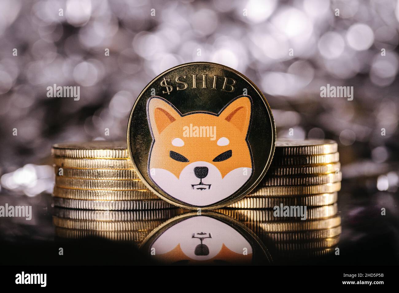 Shiba Inu cryptocurrency, physical coin in front of an abstract background Stock Photo