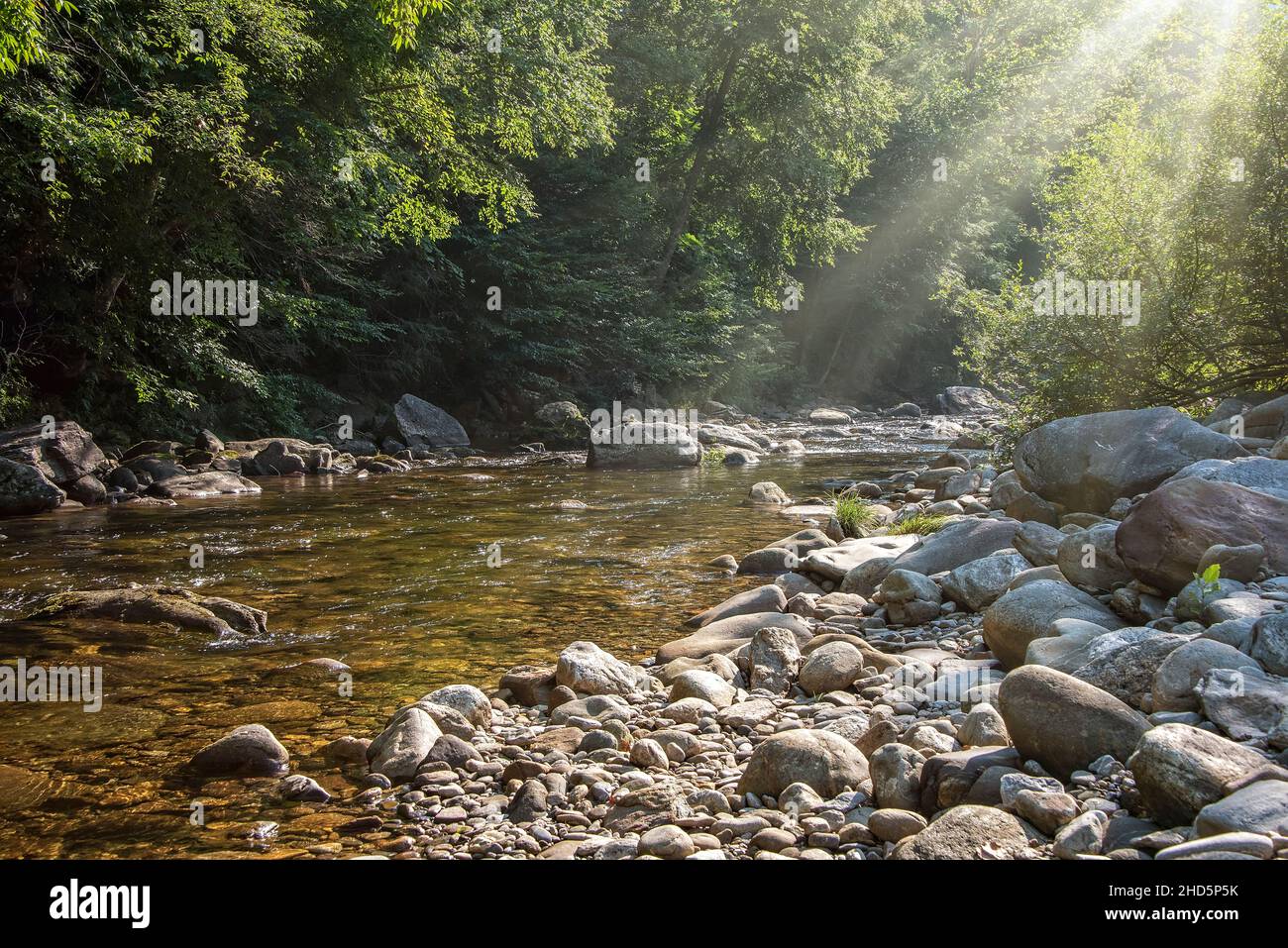 Sun beaming through the trees onto the Pigeon River in Western North Carolina Stock Photo