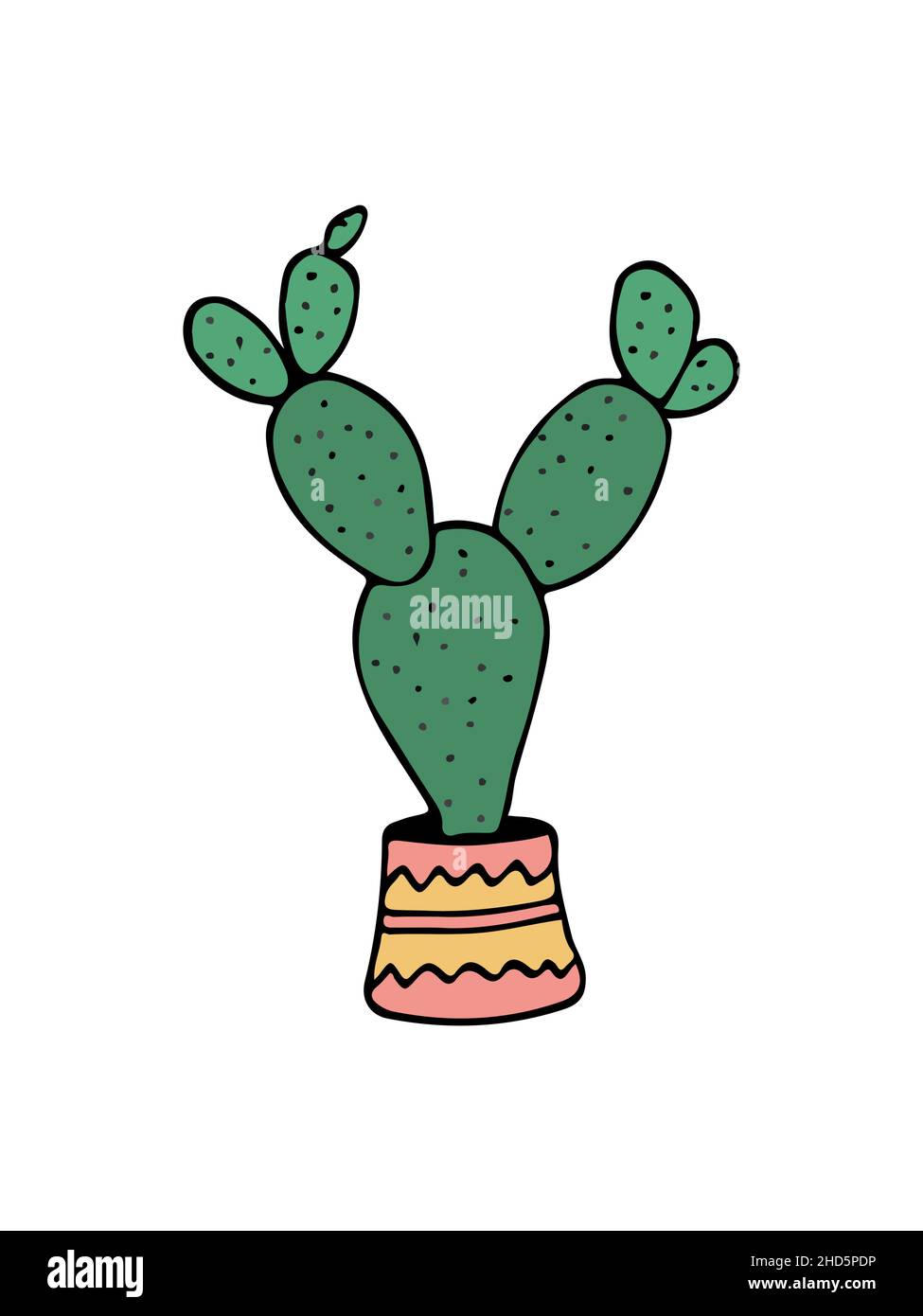 doodle illustration cactus on white Stock Vector Image &amp; Art - Alamy
