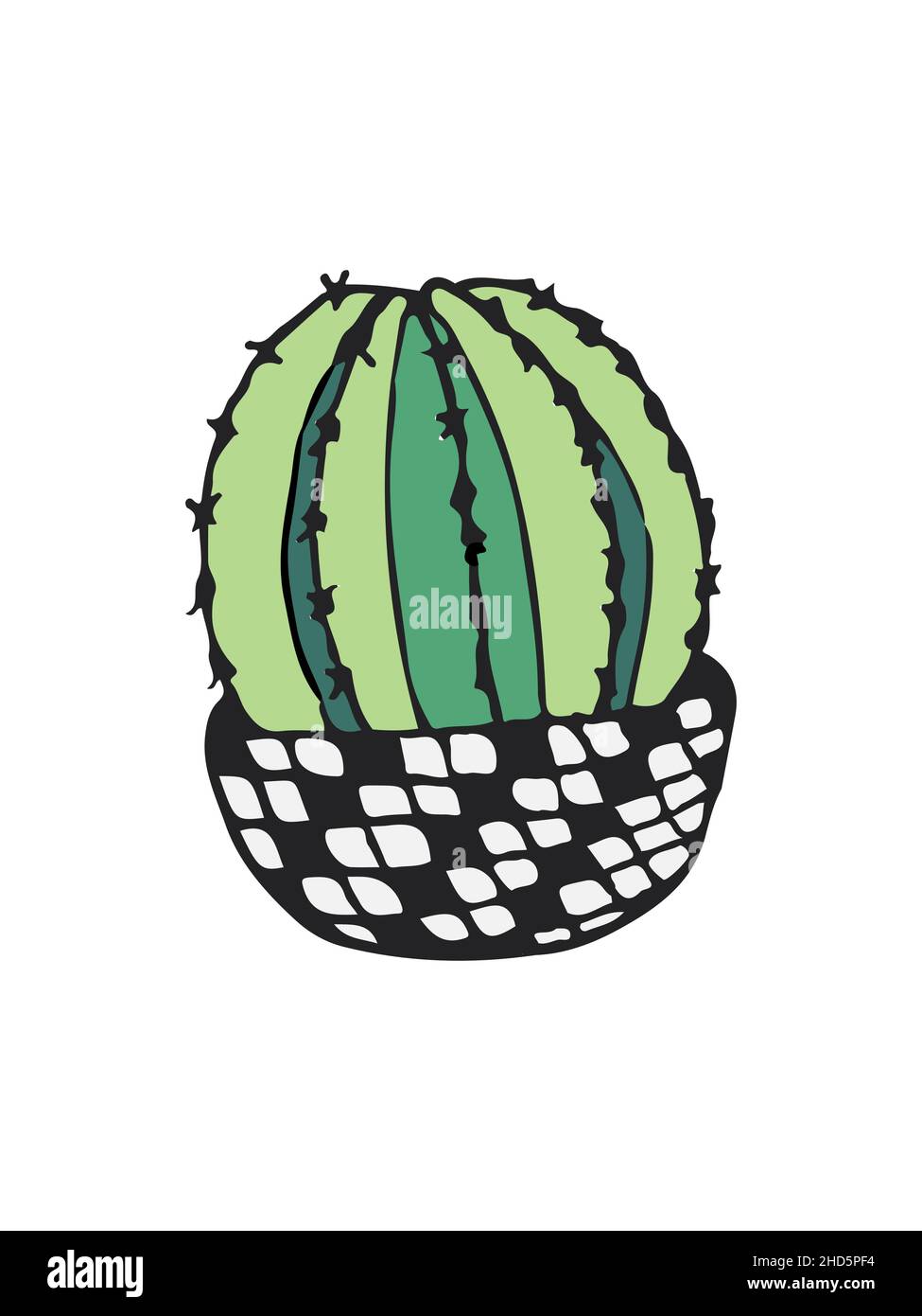 doodle illustration cactus on white Stock Vector Image & Art - Alamy