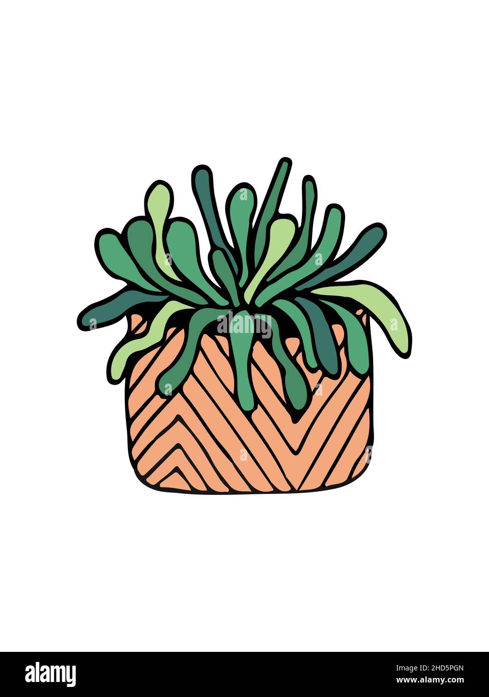 doodle illustration cactus on white Stock Vector Image & Art - Alamy