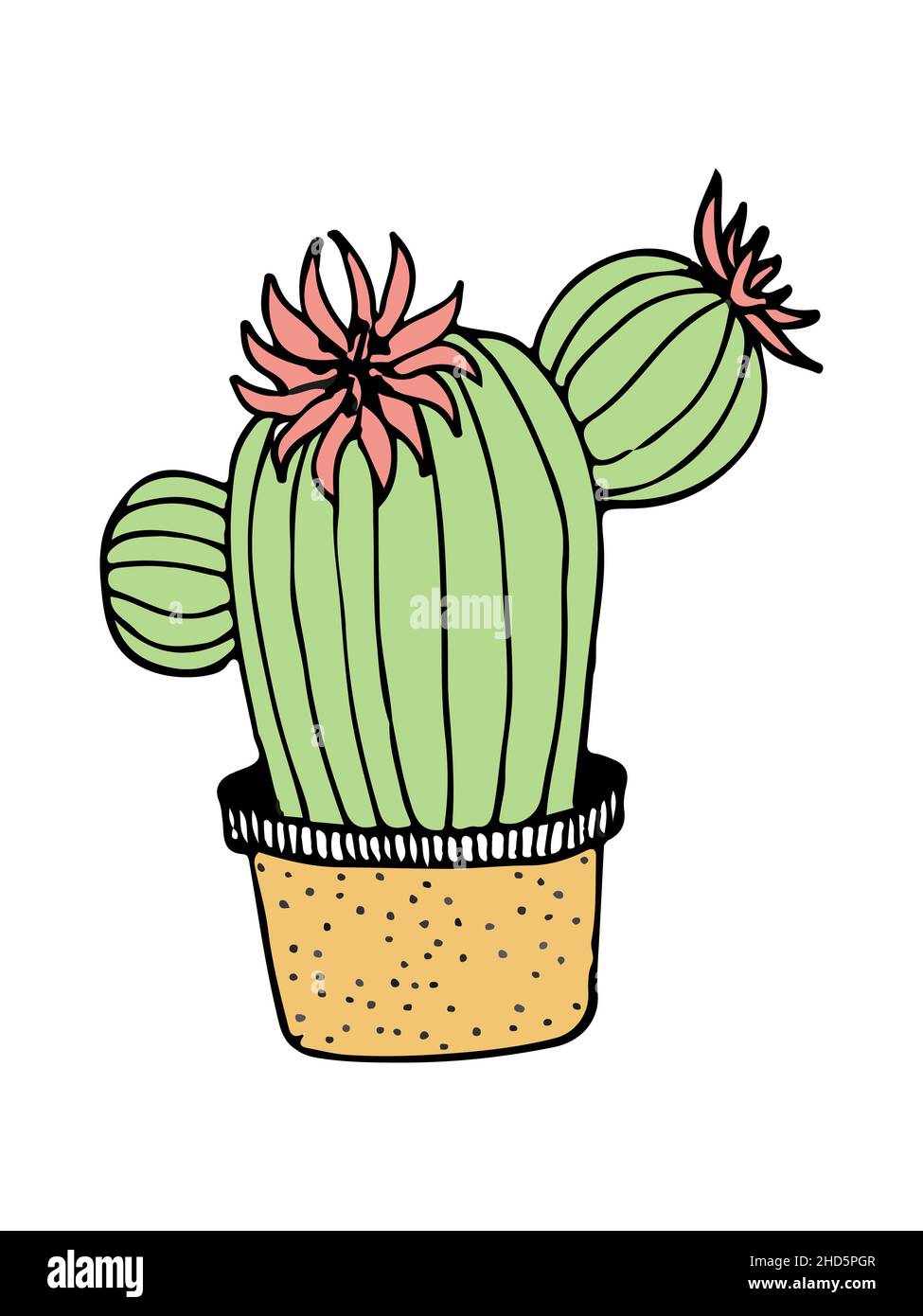 doodle illustration cactus on white Stock Vector Image & Art - Alamy