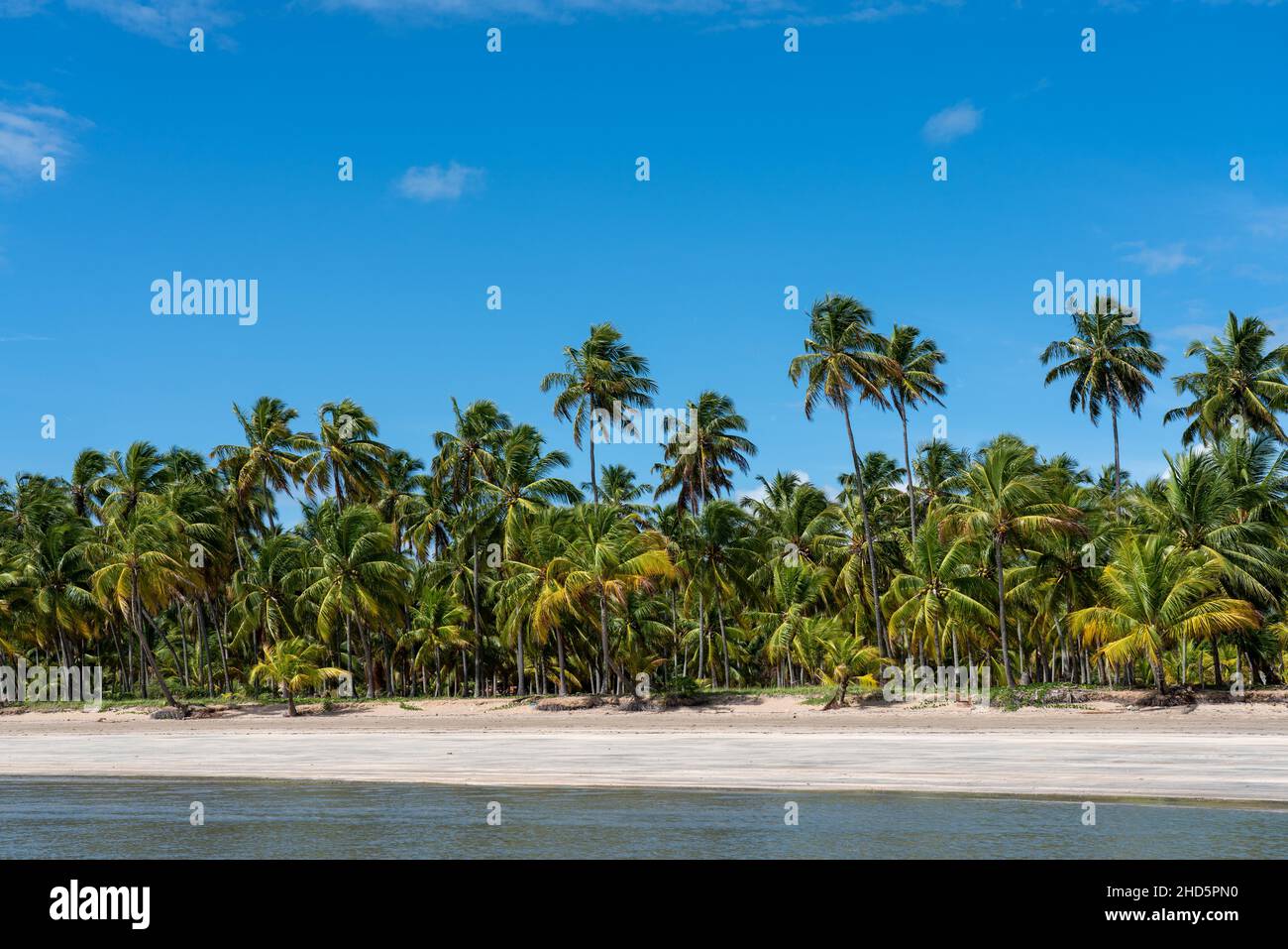 Coral reef coast of brazil hi-res stock photography and images - Alamy
