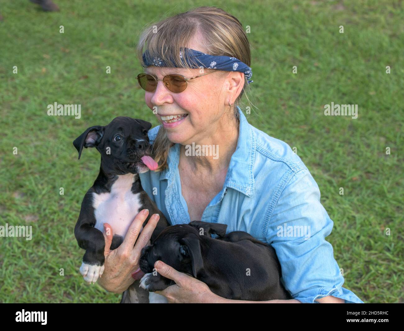 Mature woman holding Boxer puppy dog Stock Photo