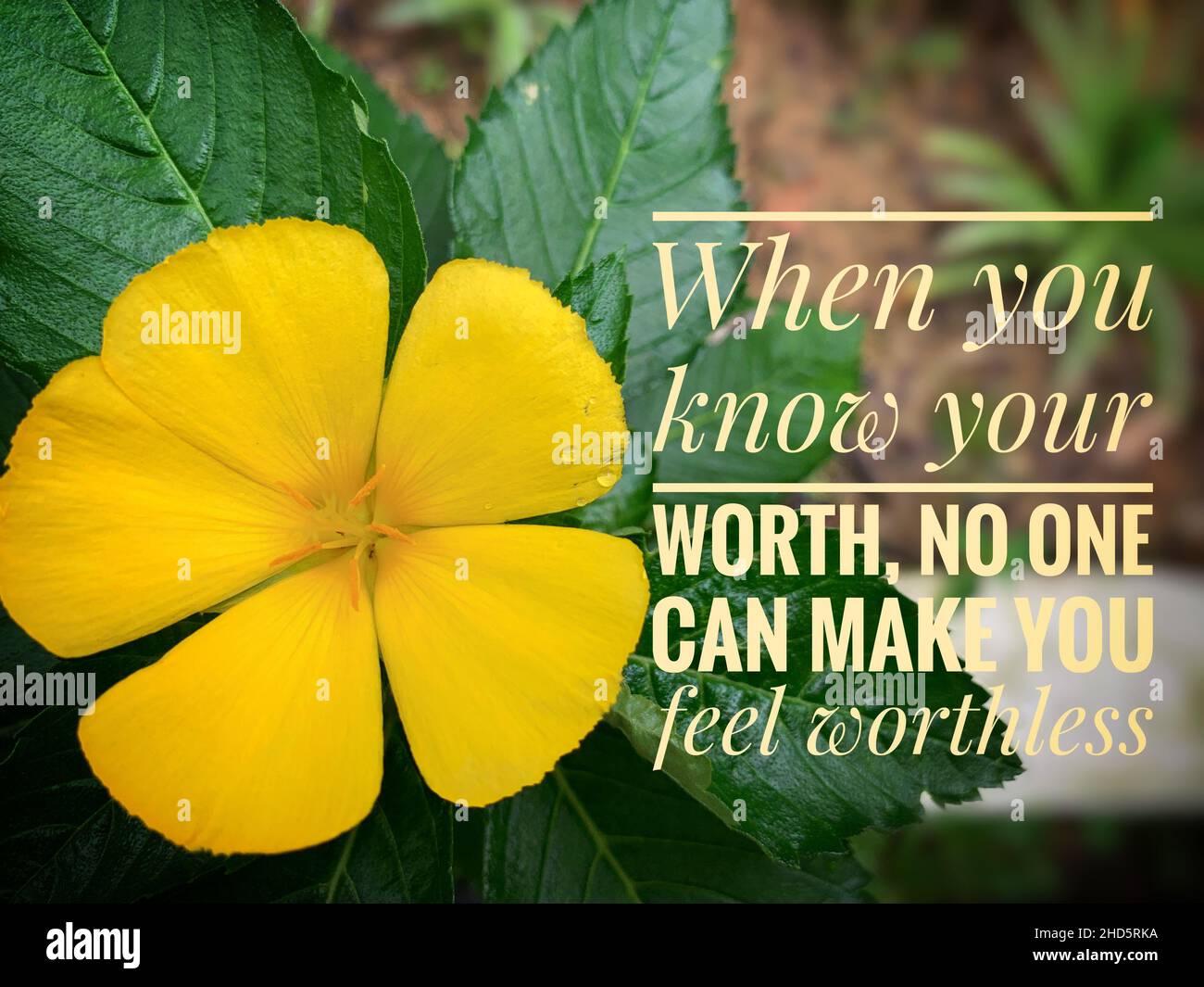 Inspirational motivational quote - When you know your worth, no one can make you feel worthless. With beautiful yellow flower background. Stock Photo