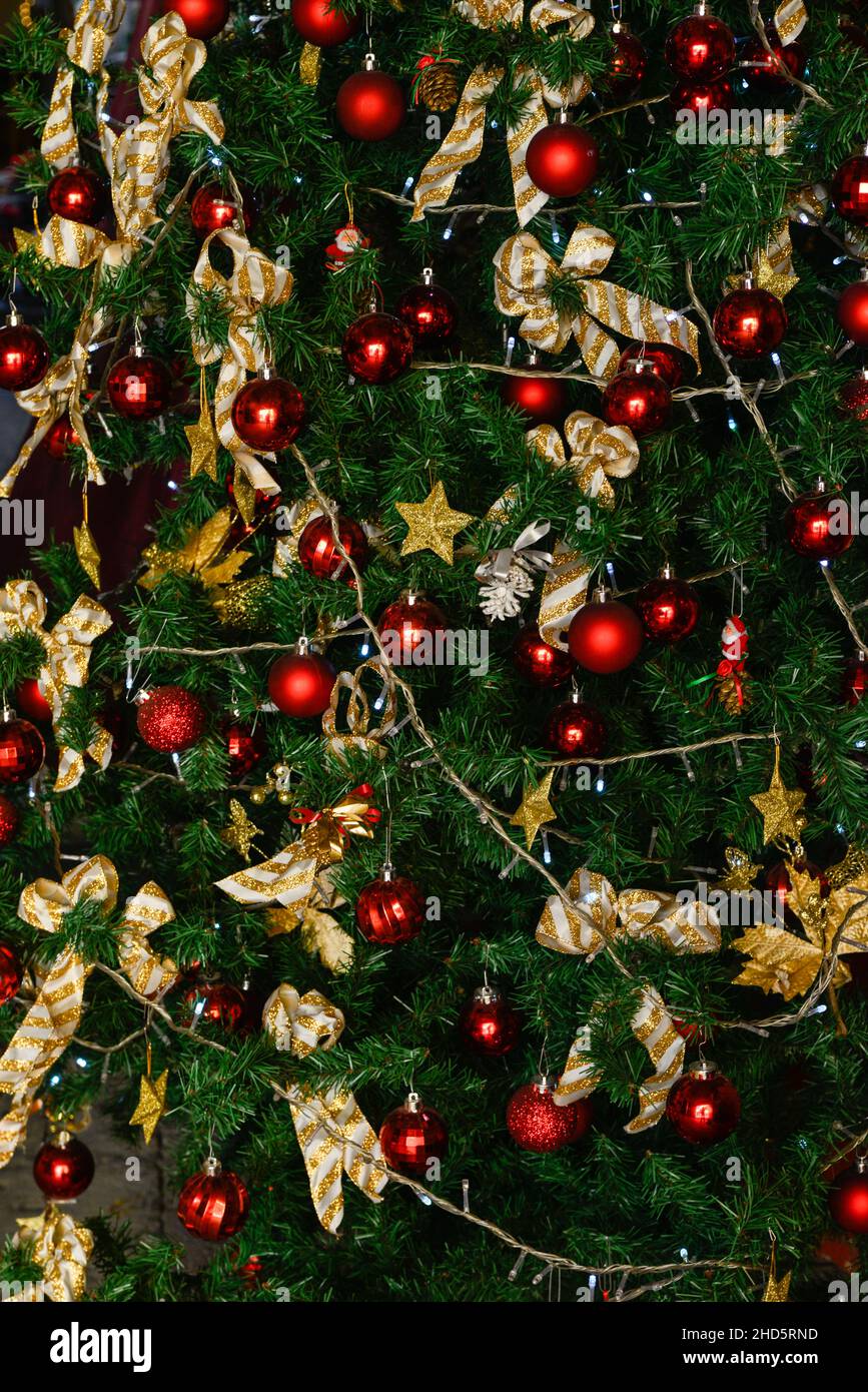 Close-up of a decorated green Christmas tree with red ornaments, gold stars, lights and ribbons in December in the USA Stock Photo