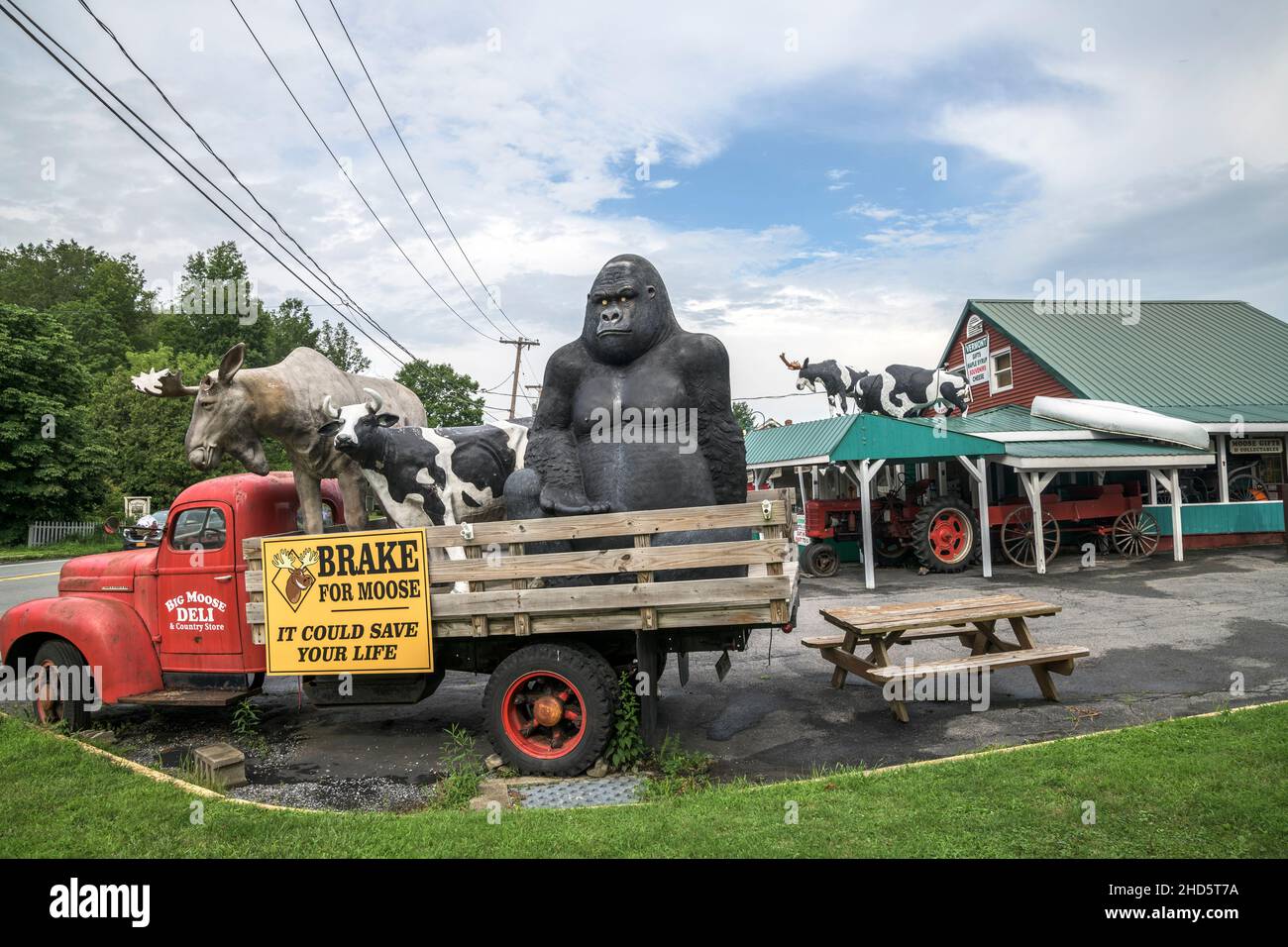 Inside an eclectic country store for travelers in rural Vermont, USA Stock Photo