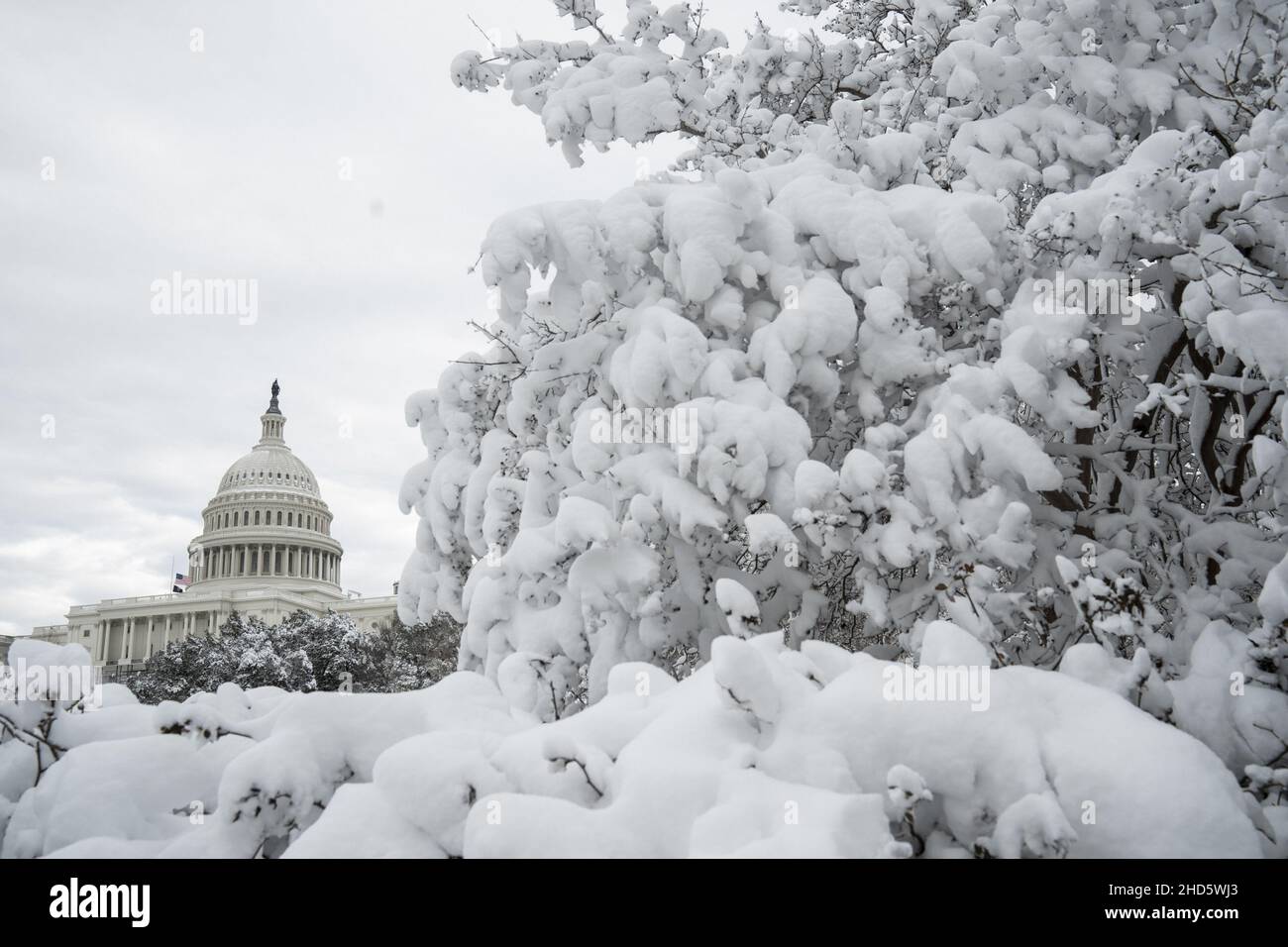 Washington, United States. 03rd Jan, 2022. The U.S Capitol is seen through snow covered trees as a winter storm hits the Mid-Atlantic region covering Washington, DC on Monday, January 3, 2022. Photo by Ken Cedeno/UPI Credit: UPI/Alamy Live News Stock Photo