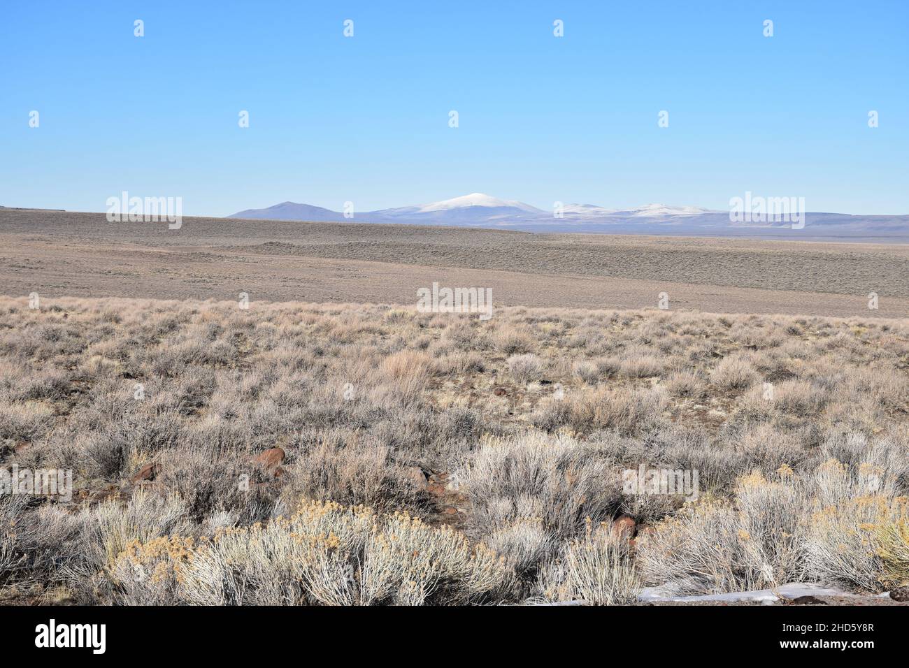 Sagebrush Steppe seen from Highway 140 (the Warner Highway) in the Adel area of southeastern