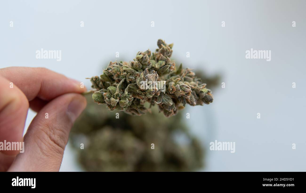 Recreational smoking hi-res stock photography and images - Alamy
