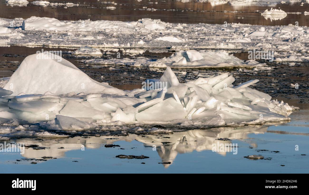 Ice slabs and reflections, Rodefjord, Scoresby Sund, East Greenland Stock Photo
