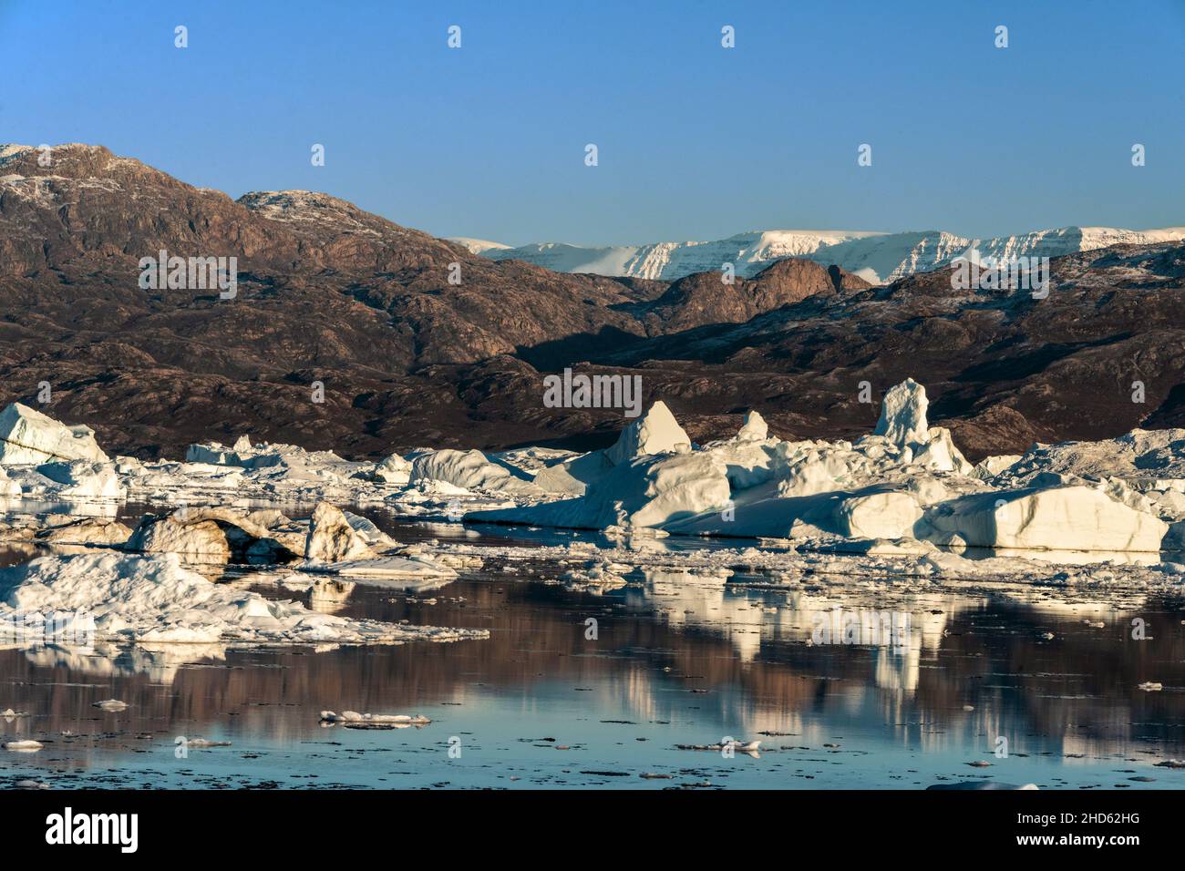 Ice pack, icefields and reflections, Rodefjord, Scoresby Sund, East Greenland Stock Photo