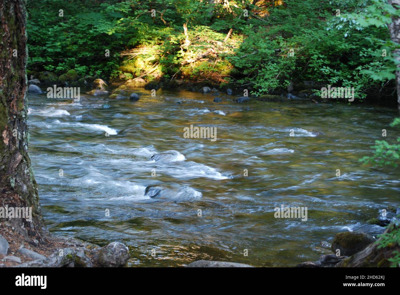 Rushing river water cascades hi-res stock photography and images - Alamy