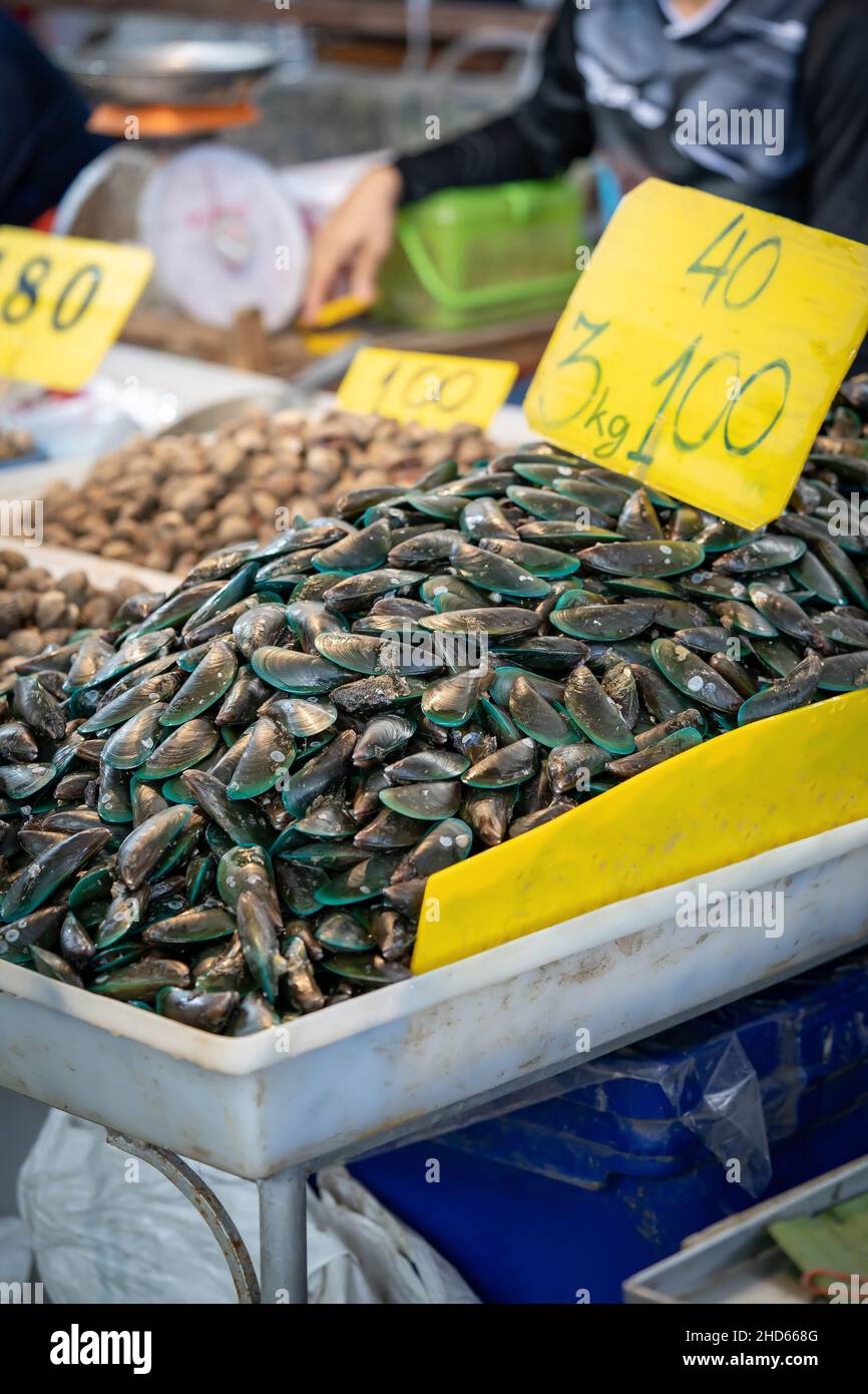 Mussel in Shelll, frozen on ice for sale and cook, in fresh market. Stock Photo