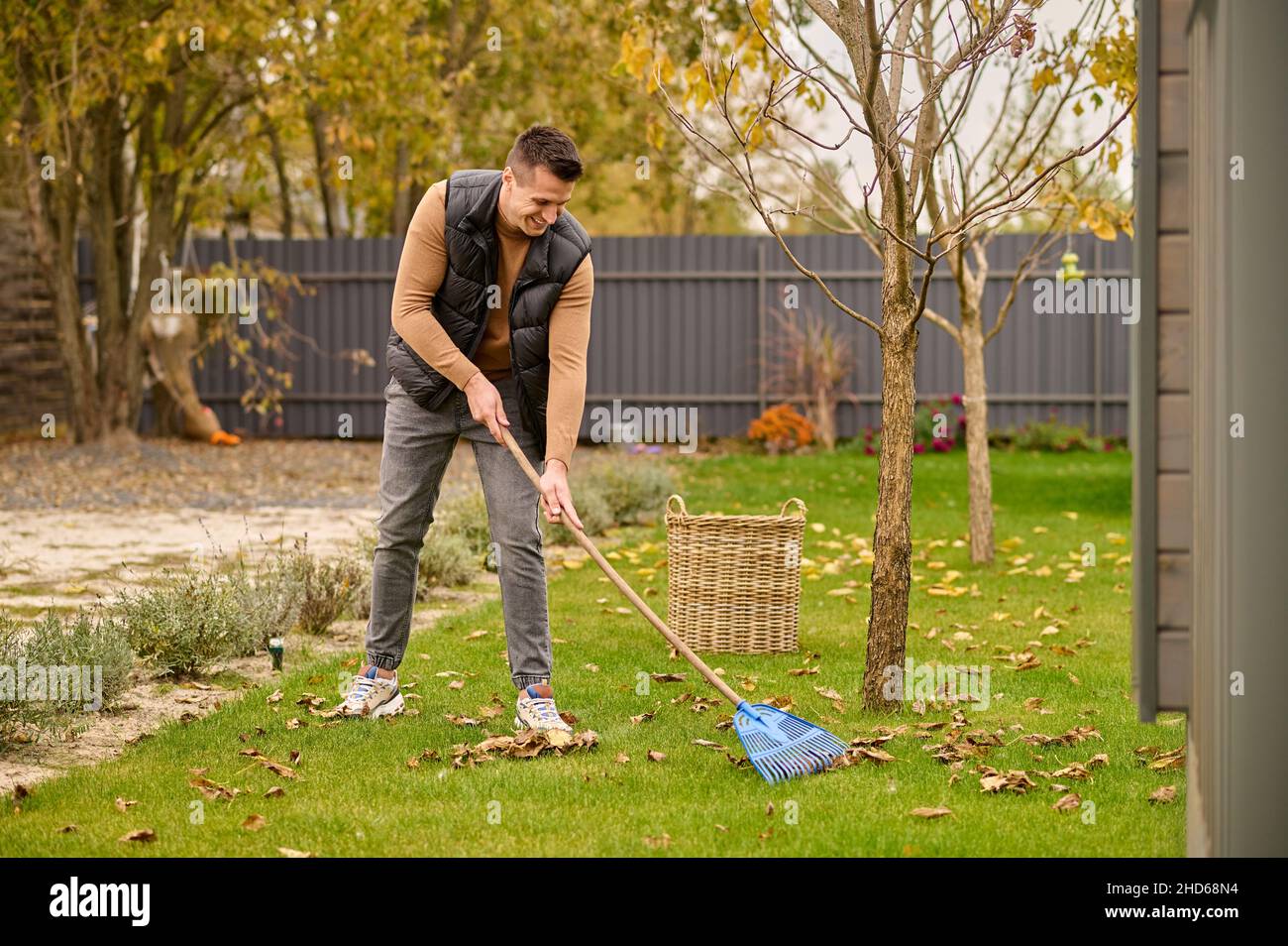 Joyful man shoveling leaves with garden tools Stock Photo