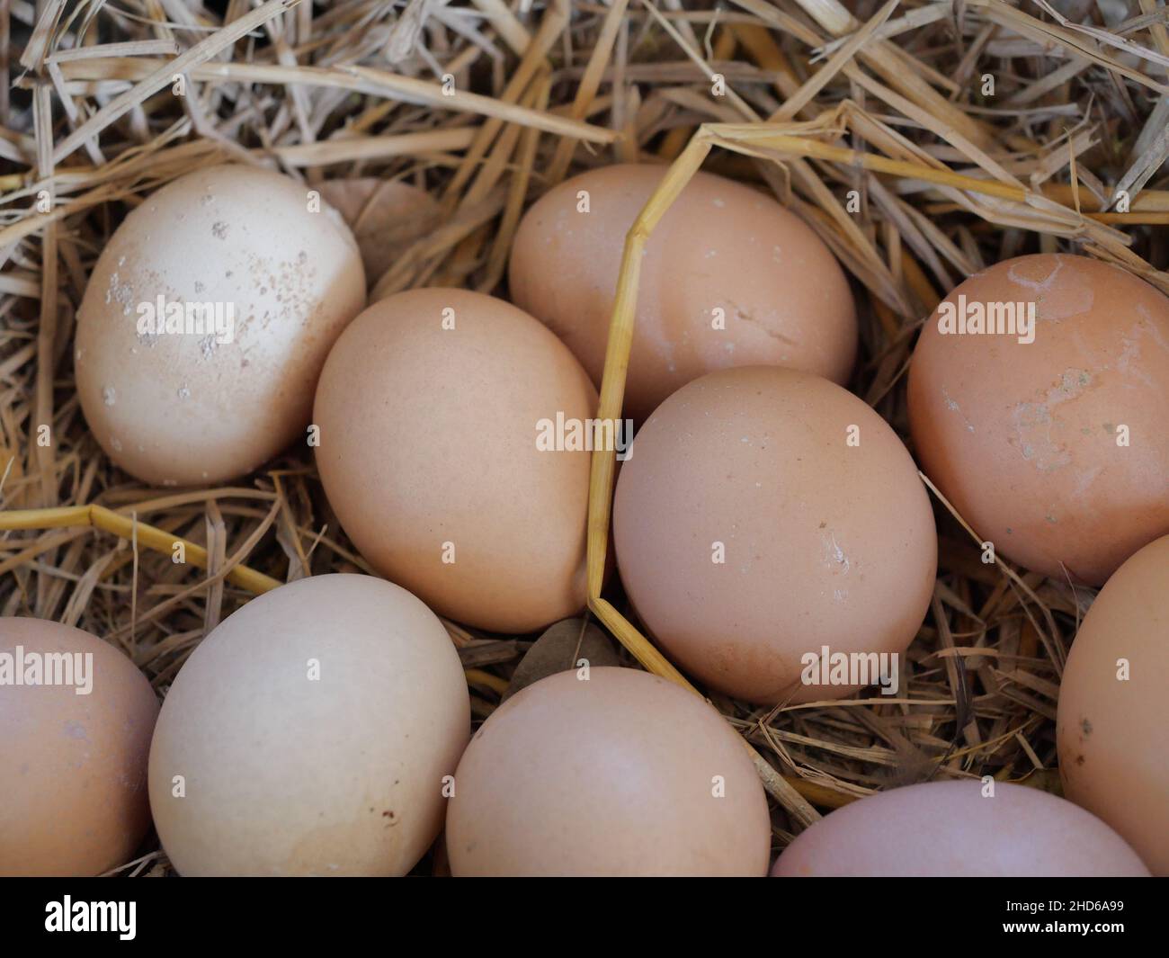 Hen egg in basket, Group of eggson straw , Highly nutritious food from