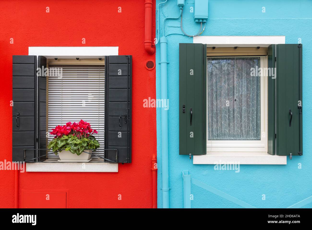 Close up of a brightly colored plaster facade with two windows and a flower pot, the leftmost half is red and the rightmost is light-blue Stock Photo