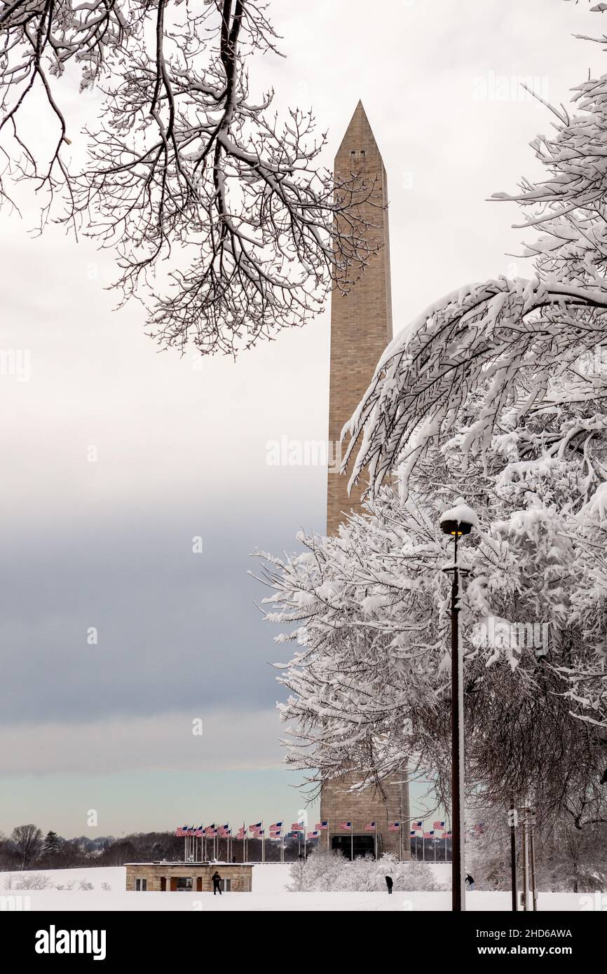 Washington, DC, USA, 3 January 2022.  Pictured: The Washington Monument stands behind snow-covered trees after an unexpected snowstorm dumped roughly 8 inches on Washington, DC.  Credit: Allison Bailey / Alamy Live News Stock Photo