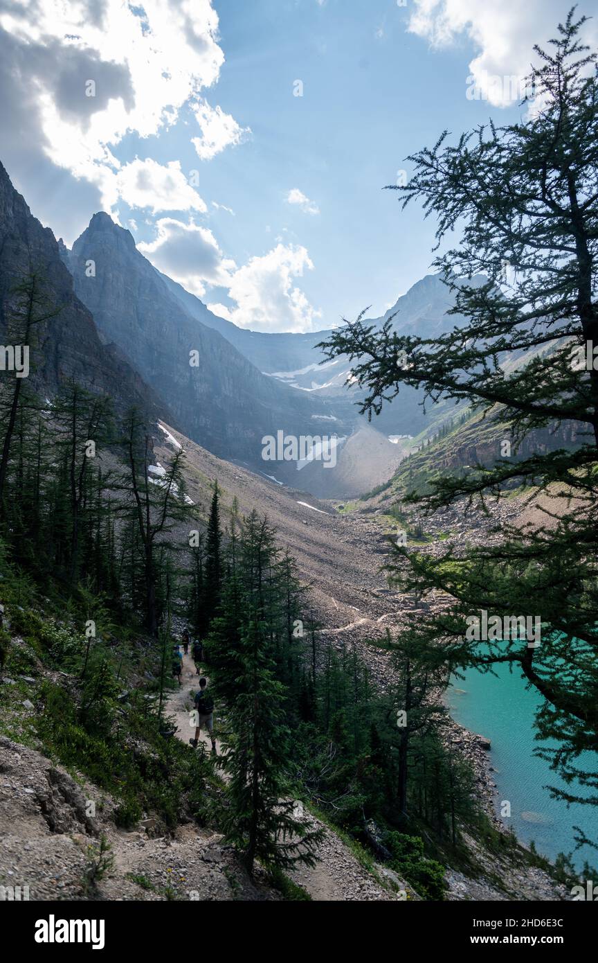 Mesmerizing view of mountains and trees against a cloudy sky in Banff ...