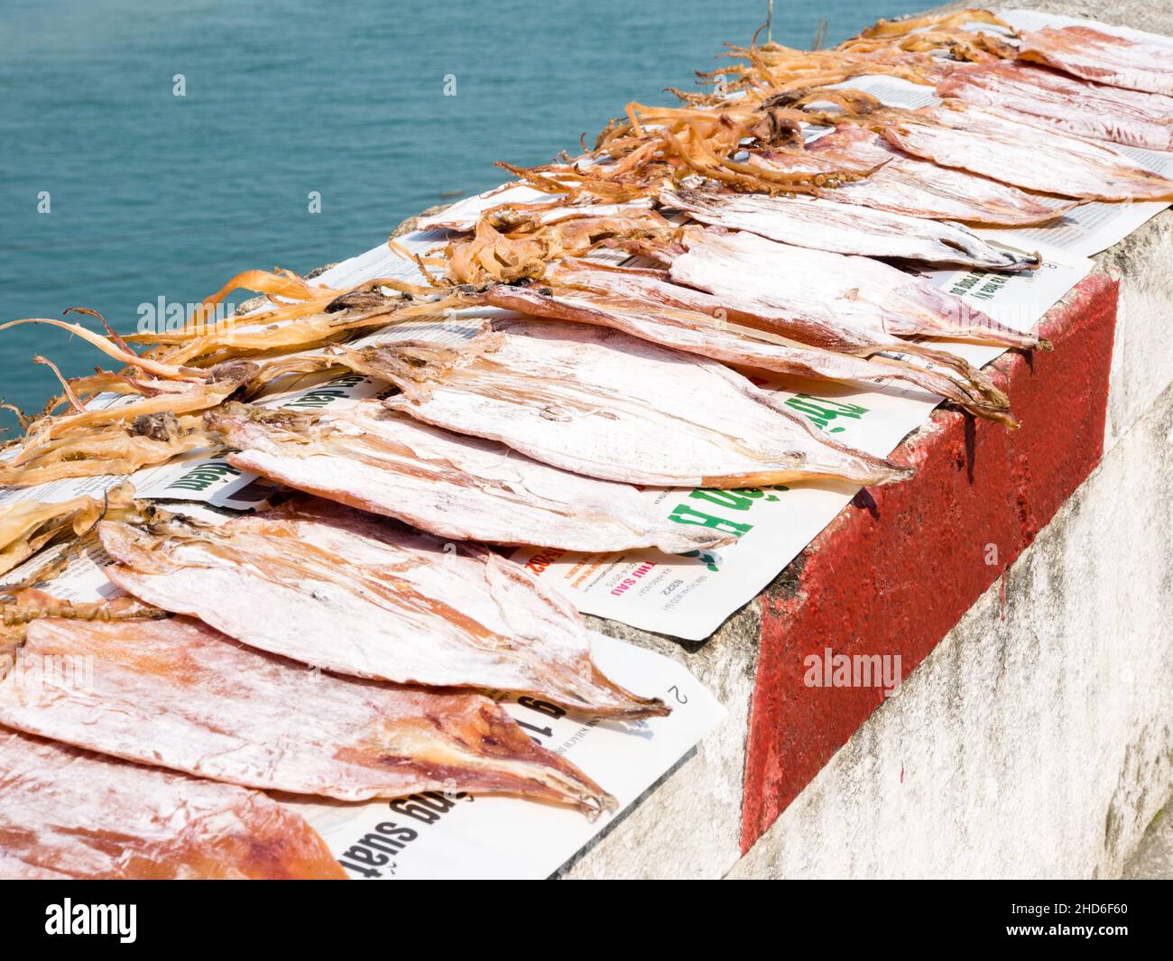 Hue, Vietnam - March 13, 2016: Squids drying under the sun on concrete road railing Stock Photo