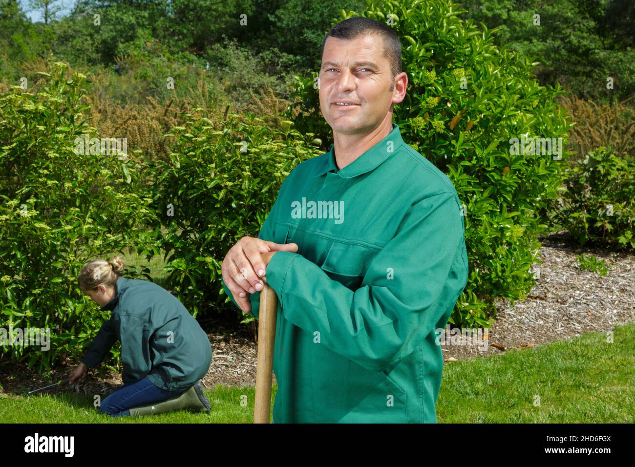 portrait of smiling male gardener Stock Photo - Alamy
