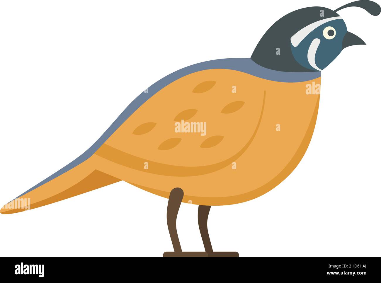 Quail farm icon. Flat illustration of quail farm vector icon isolated ...