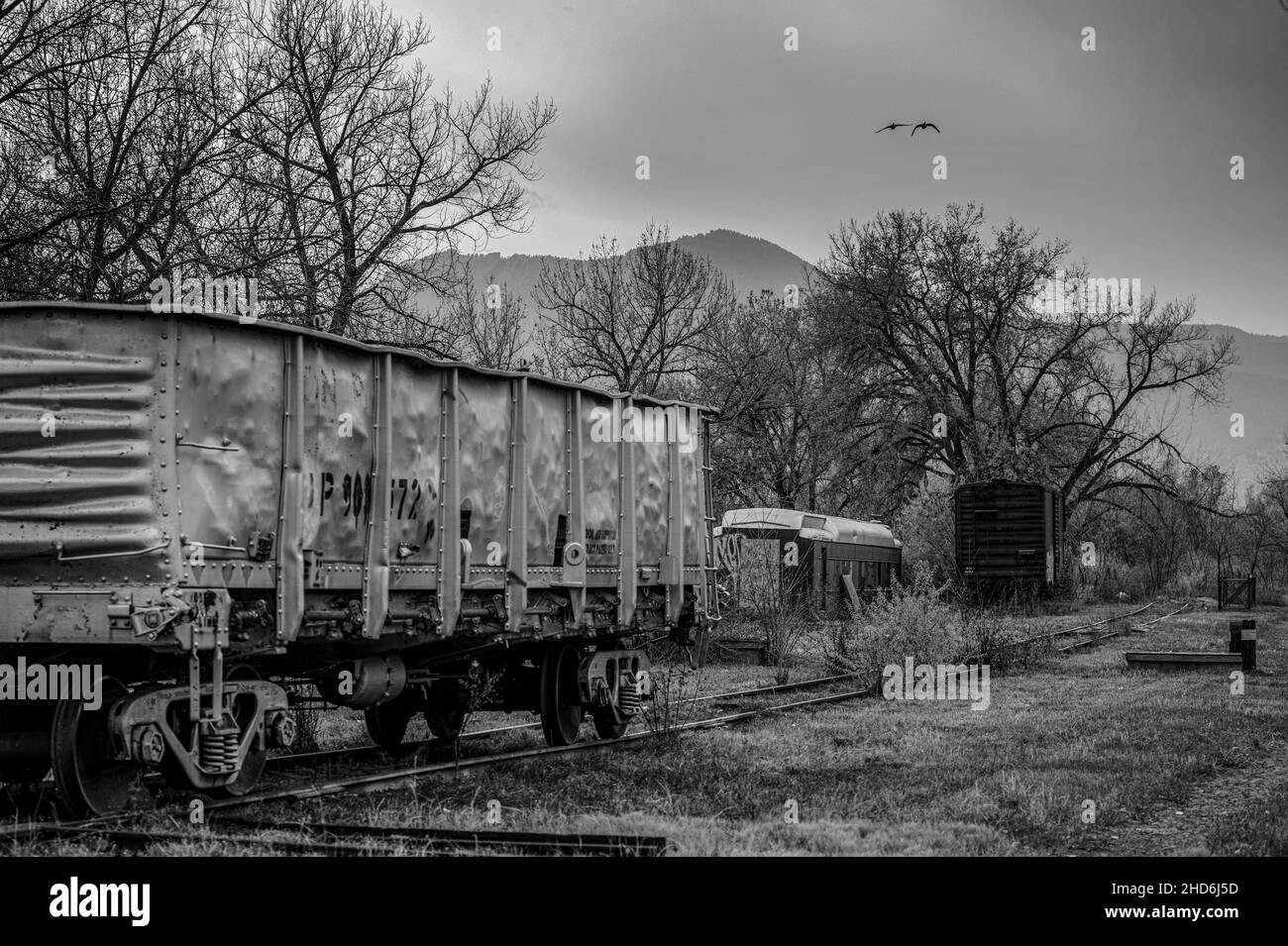 Grayscale shot of an old abandoned gondola car on a railway track surrounded by trees Stock Photo