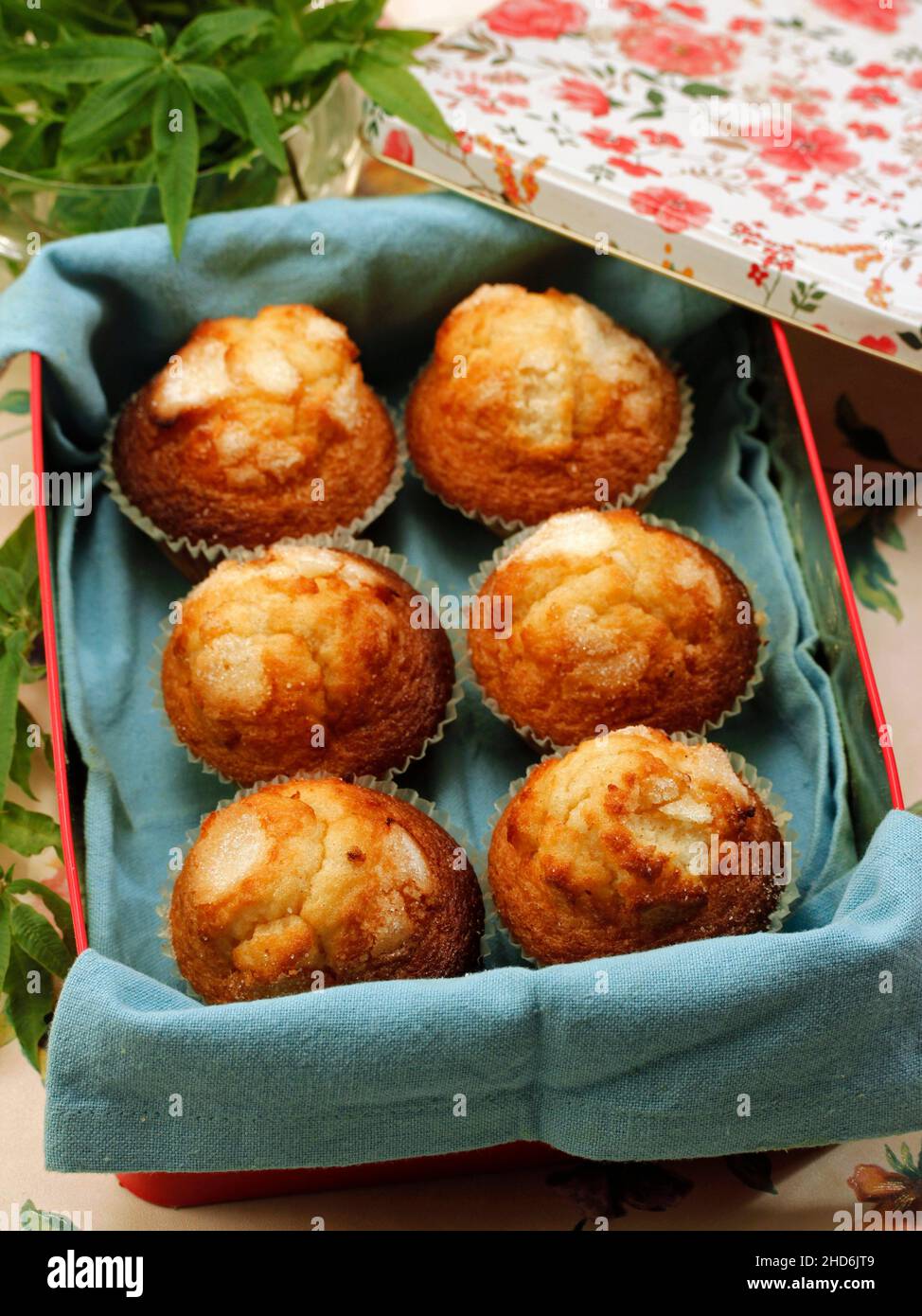 Muffins. Stock Photo