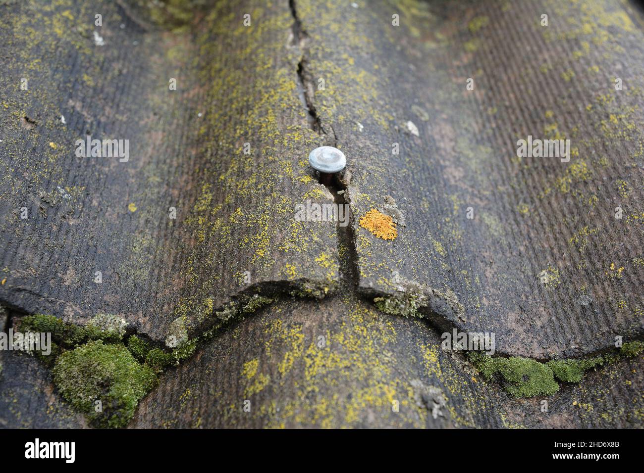 Asbestos roof. A close-up of an old cracked damaged asbestos roof tile covered with moss and lichen, dangerous for health that needs removal. Stock Photo
