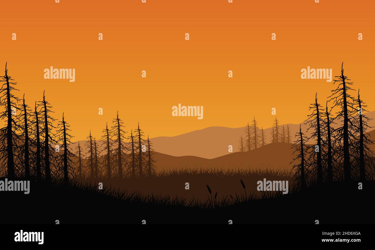 Mountain view with an aesthetic silhouette of pine trees from the ...