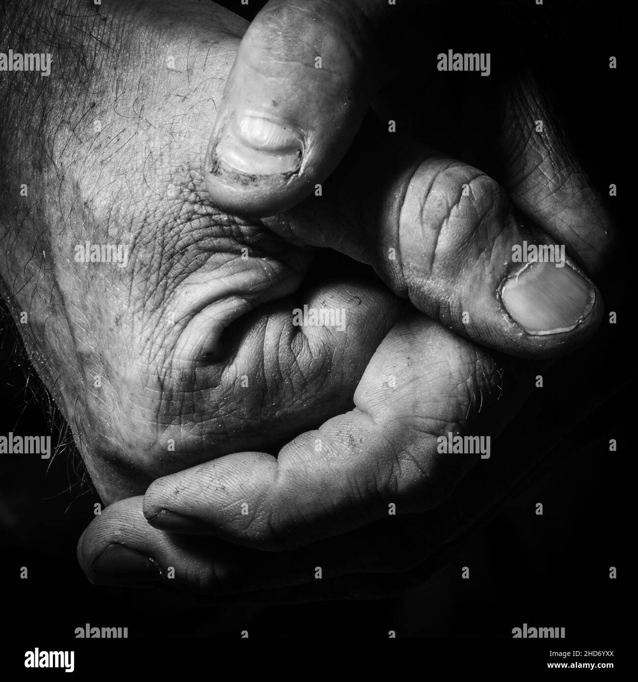 A close-up of an older working man's hands Stock Photo