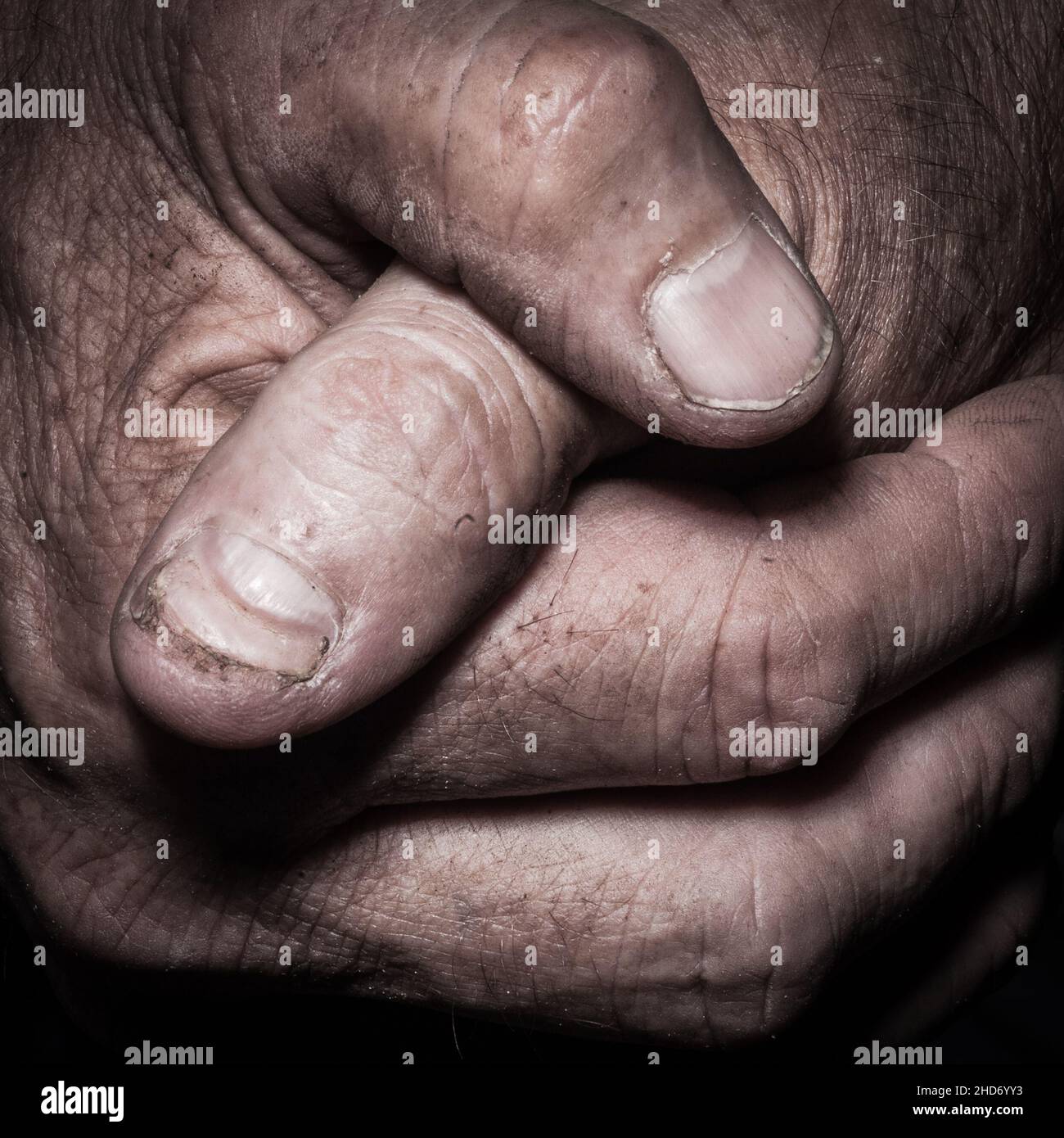 A close-up of an older working man's hands Stock Photo
