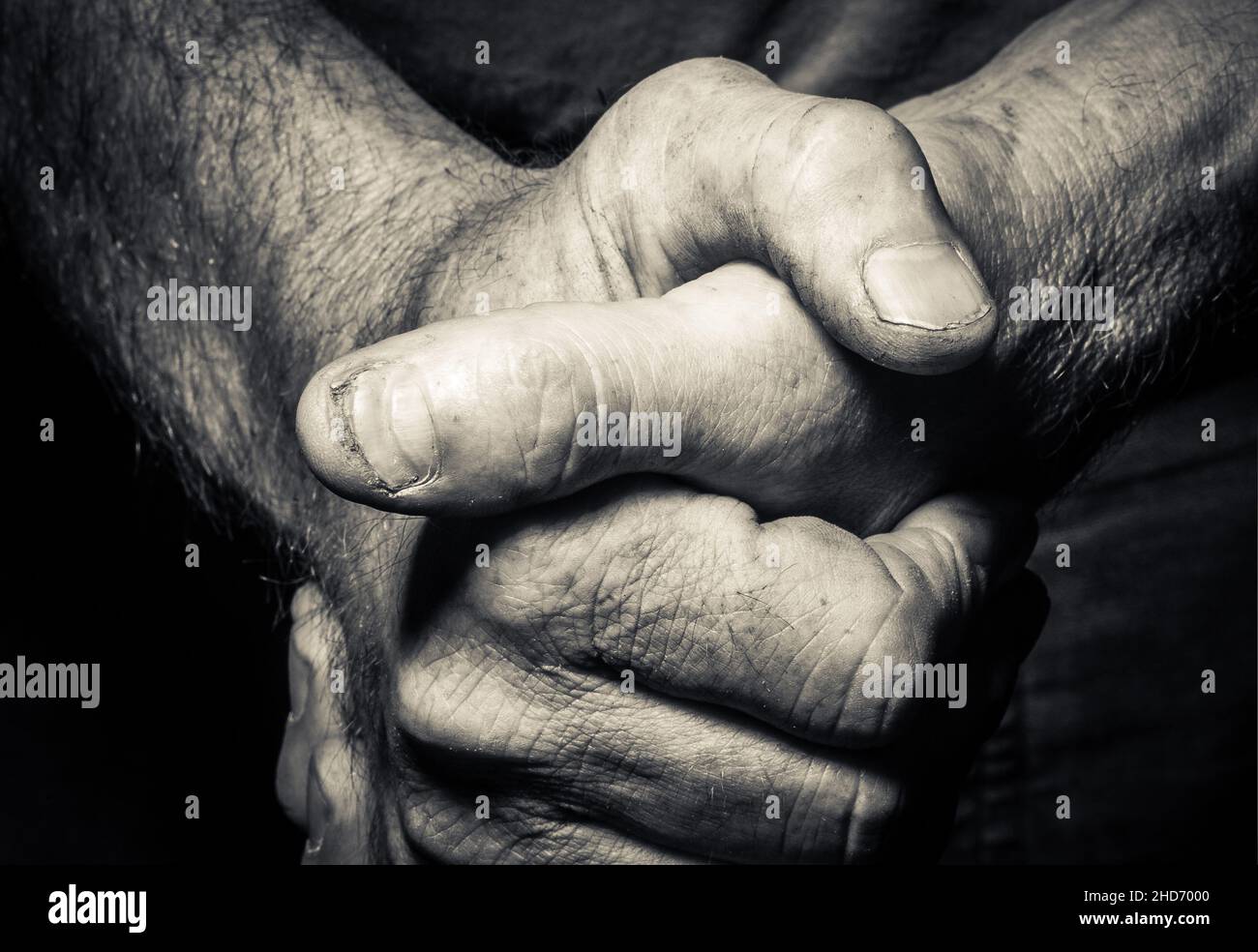A close-up of an older working man's hands Stock Photo