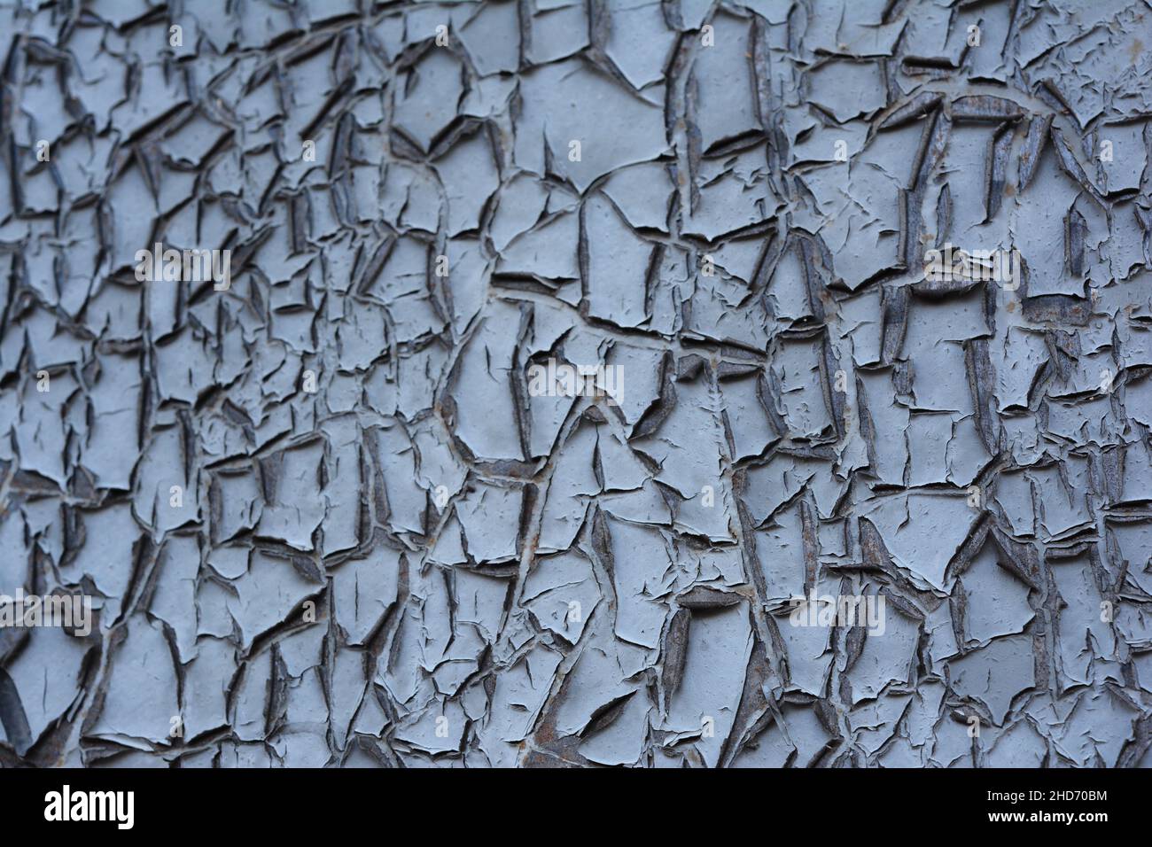 Paint cracks on a metal surface. Common defect in painting such as flaking,  alligatoring and checking. Gray painted surface with cracks, defects backg  Stock Photo - Alamy