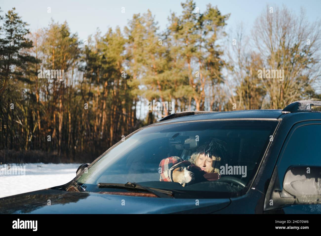 Happy woman with a dog wearing funny winter hats in the car by the forest. Winter outdoor scene with pet, lifestyle with dogs Stock Photo