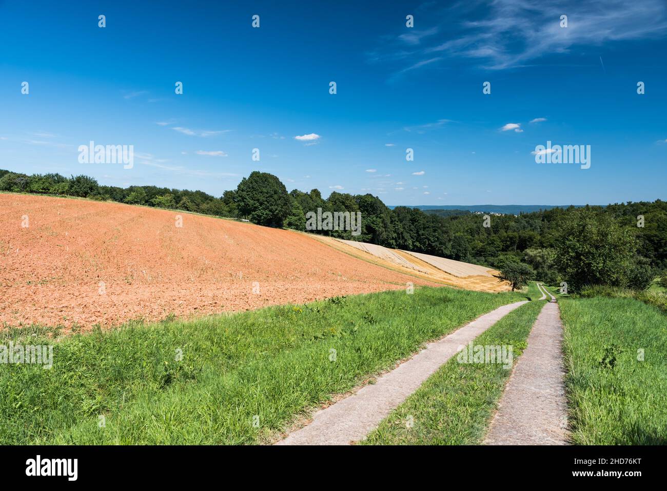 View over rural hills and green fields at the German countryside around Johannesberg. Stock Photo