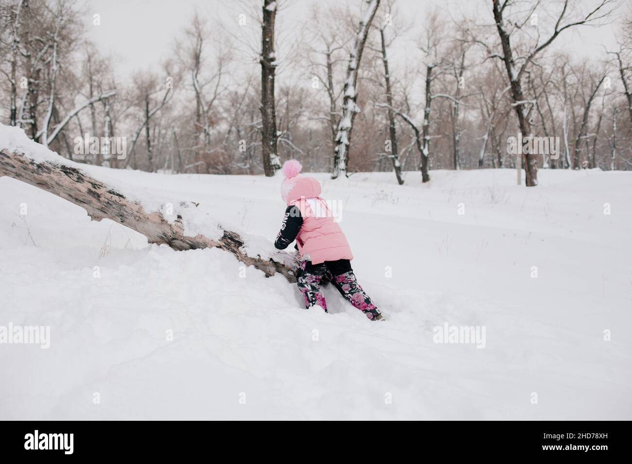 Distant photo of female Russian kid climbing tree log with efforts wearing pink winter clothes in forest. Astonishing background full of white color Stock Photo