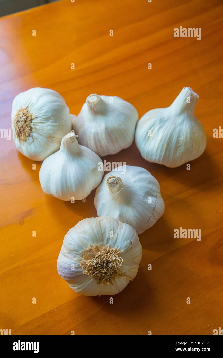 Garlics. Stock Photo