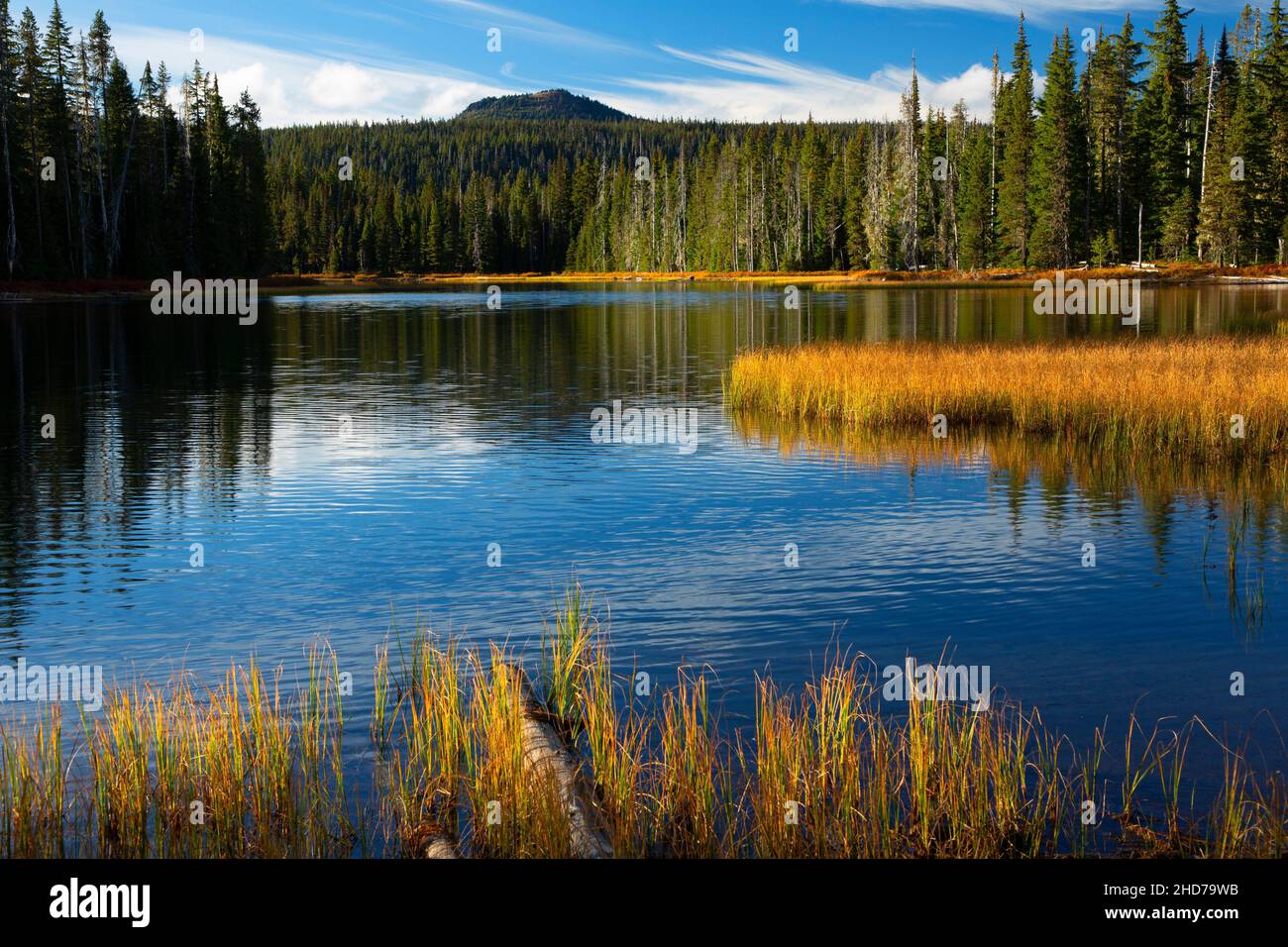 Scott Lake, Willamette National Forest, McKenzie Pass-Santiam Pass National Scenic Byway, Oregon. Stock Photo