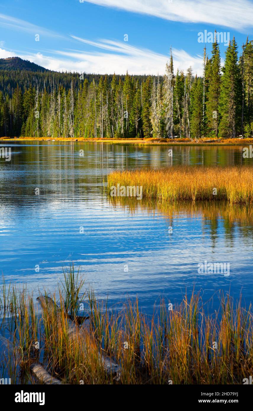 Scott Lake, Willamette National Forest, McKenzie Pass-Santiam Pass National Scenic Byway, Oregon. Stock Photo