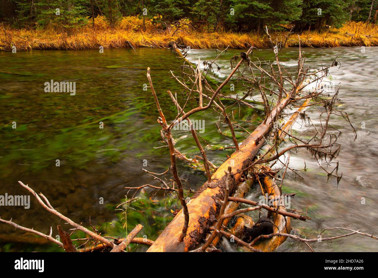 Deschutes River, Cascade Lakes National Scenic Byway, Deschutes National Forest, Oregon. Stock Photo