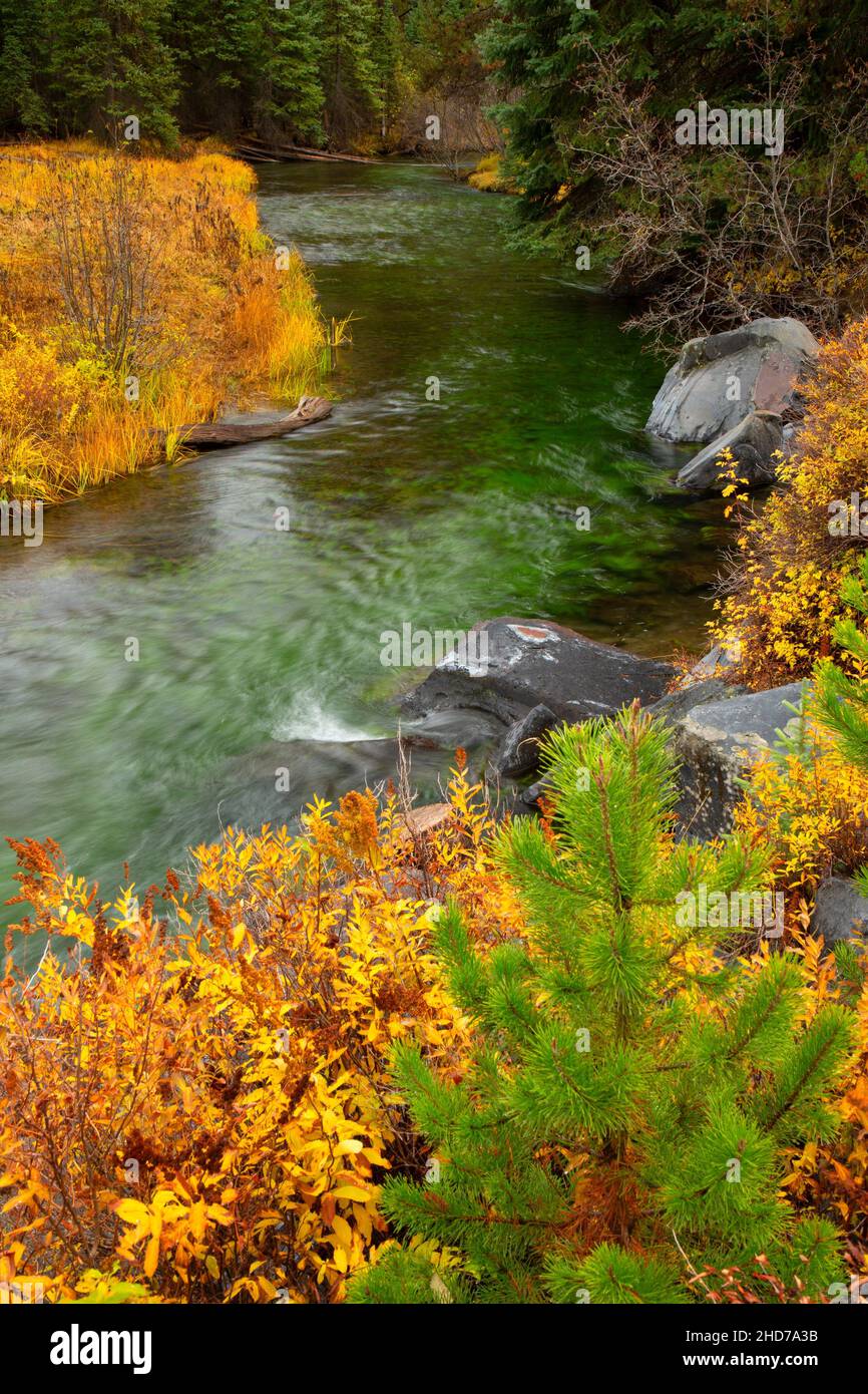 Deschutes River, Cascade Lakes National Scenic Byway, Deschutes National Forest, Oregon. Stock Photo