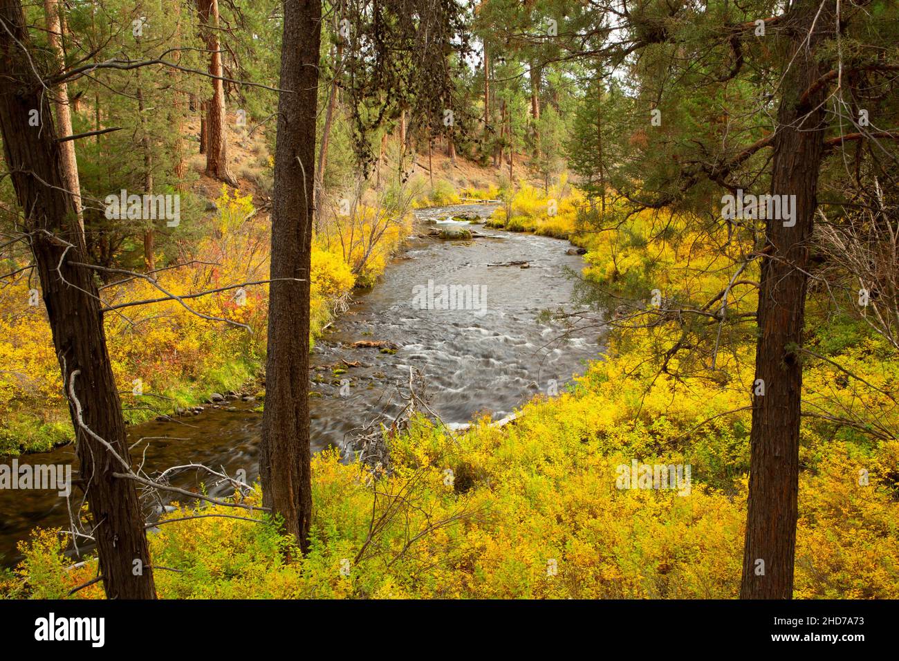 Tumalo Creek, Shevlin Park, Bend, Oregon. Stock Photo