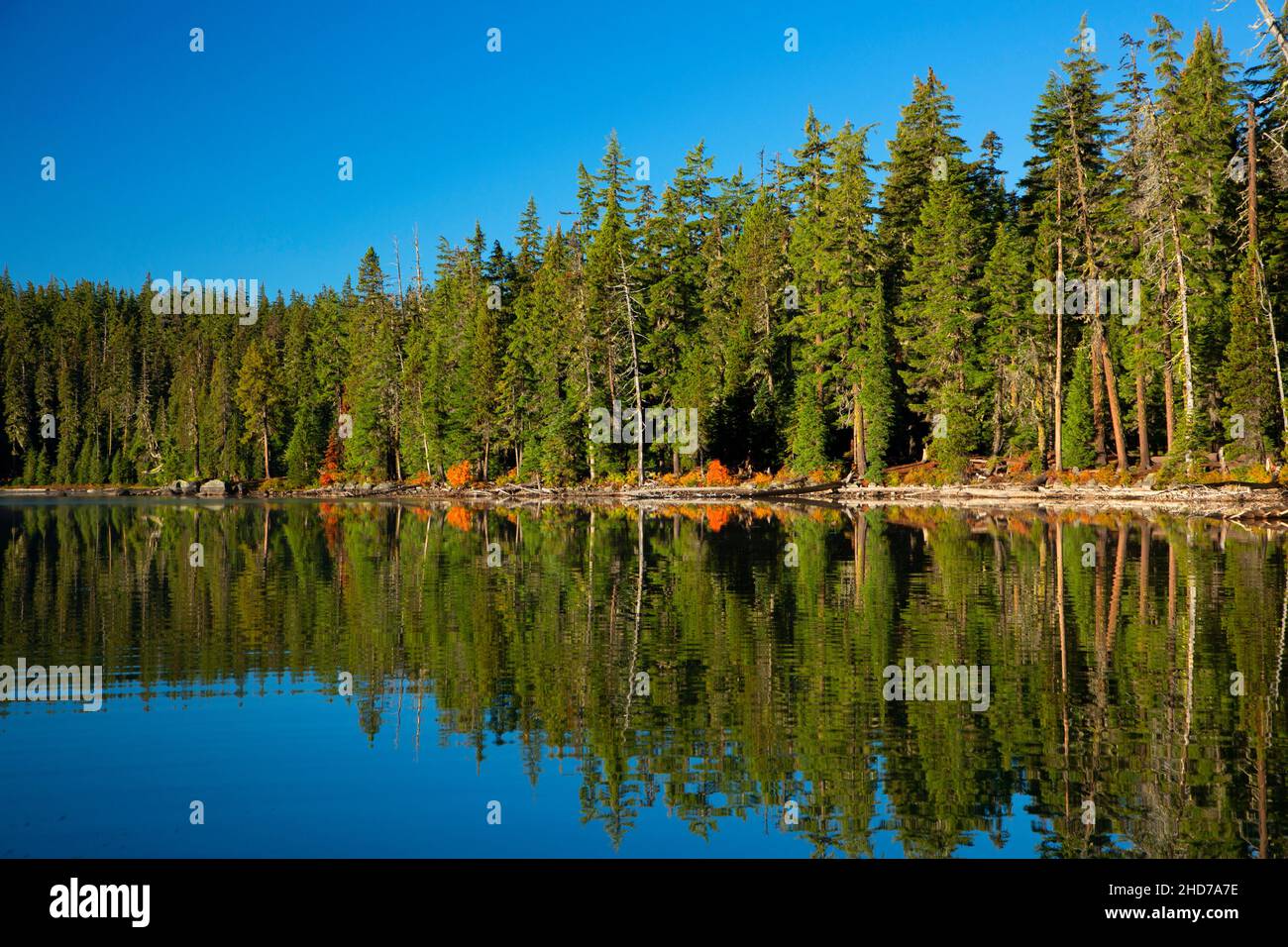 Charlton Lake, Deschutes National Forest, Oregon. Stock Photo