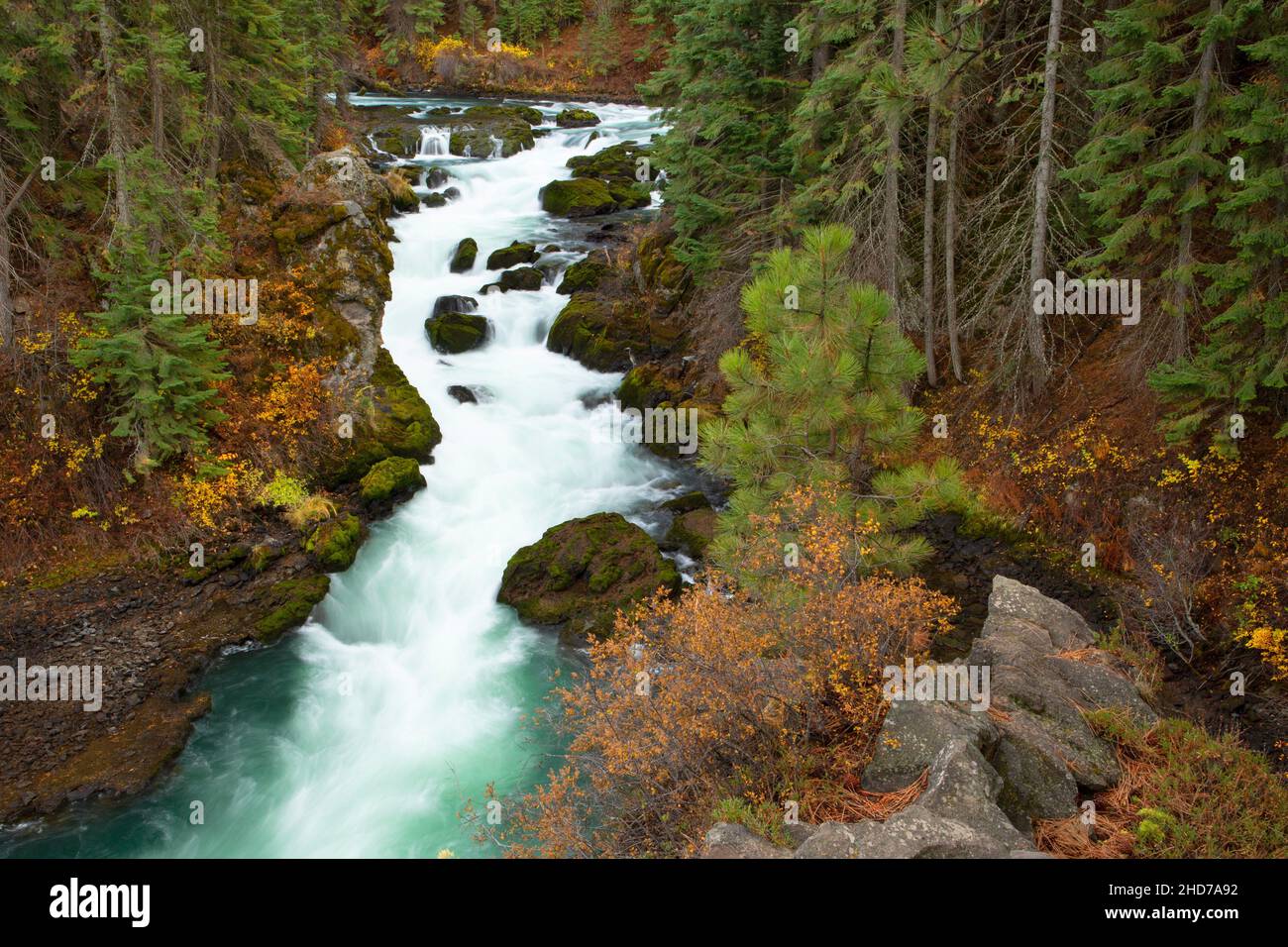 Benham Falls, Deschutes Wild and Scenic River, Deschutes National Forest, Oregon. Stock Photo