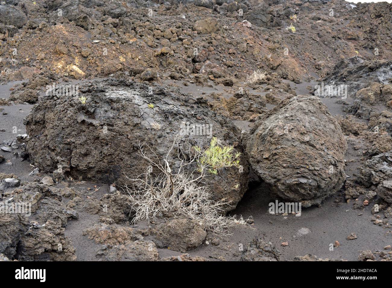Volcanic bombs (tephra) expelled by Teneguia volcano. This photo was taken in Fuencaliente, La Palma, Canary Islands, Spain. Stock Photo