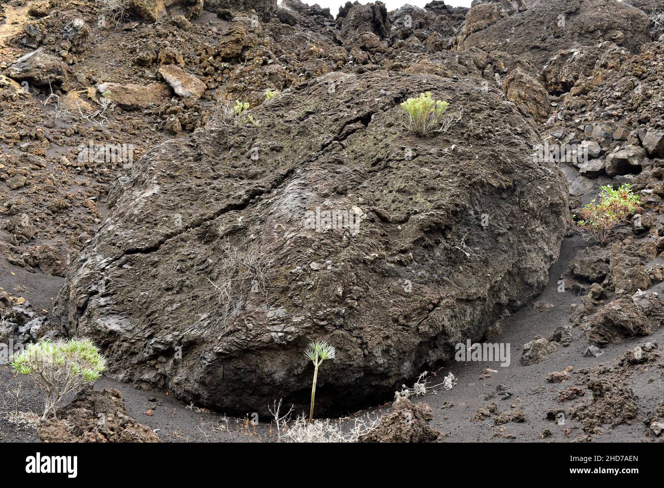 Volcanic bomb (tephra) expelled by Teneguia volcano. This photo was taken in Fuencaliente, La Palma, Canary Islands, Spain. Stock Photo